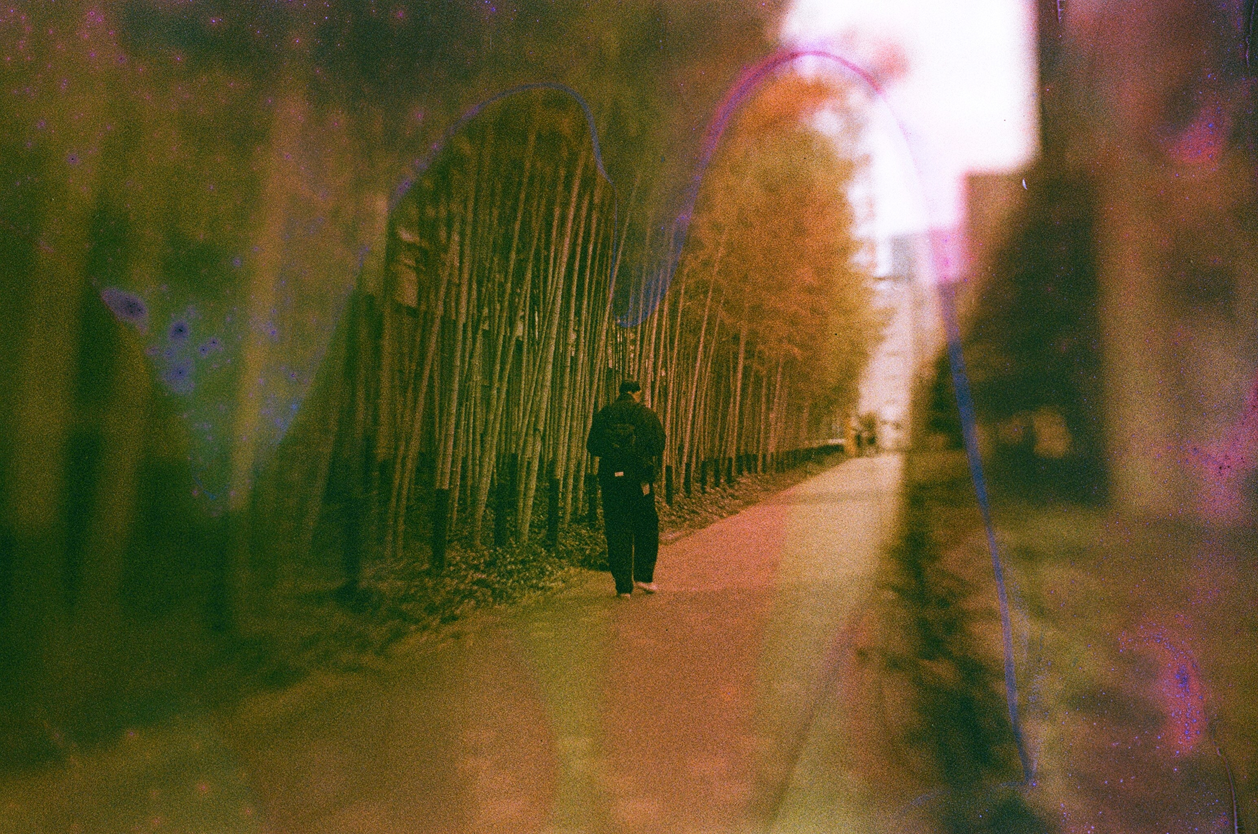 JAPAN FILM. International visual artist