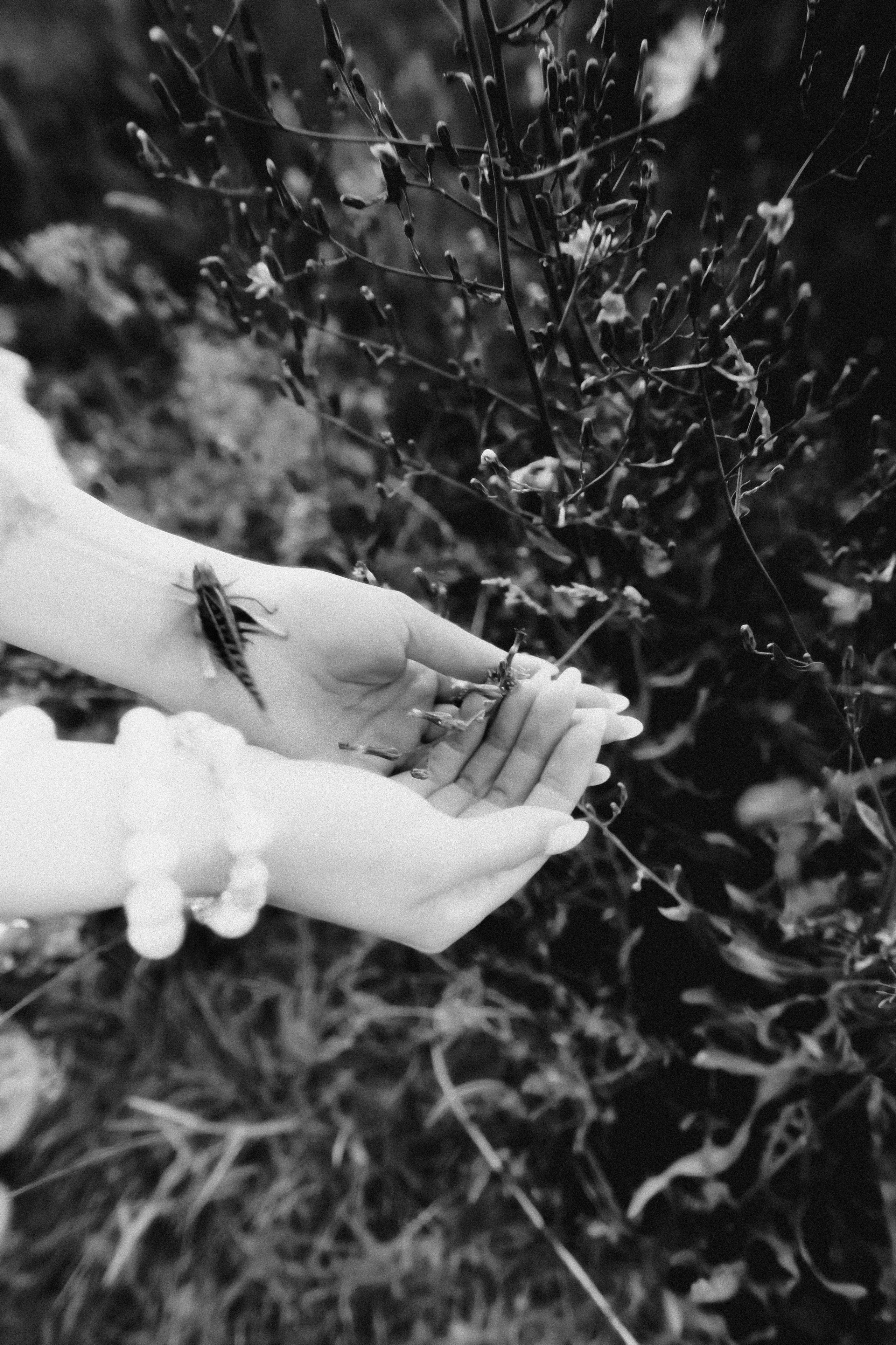 А на небе только и разговоров, что о море и о закате. Дмитрий Пропадалин, Нейрофотография