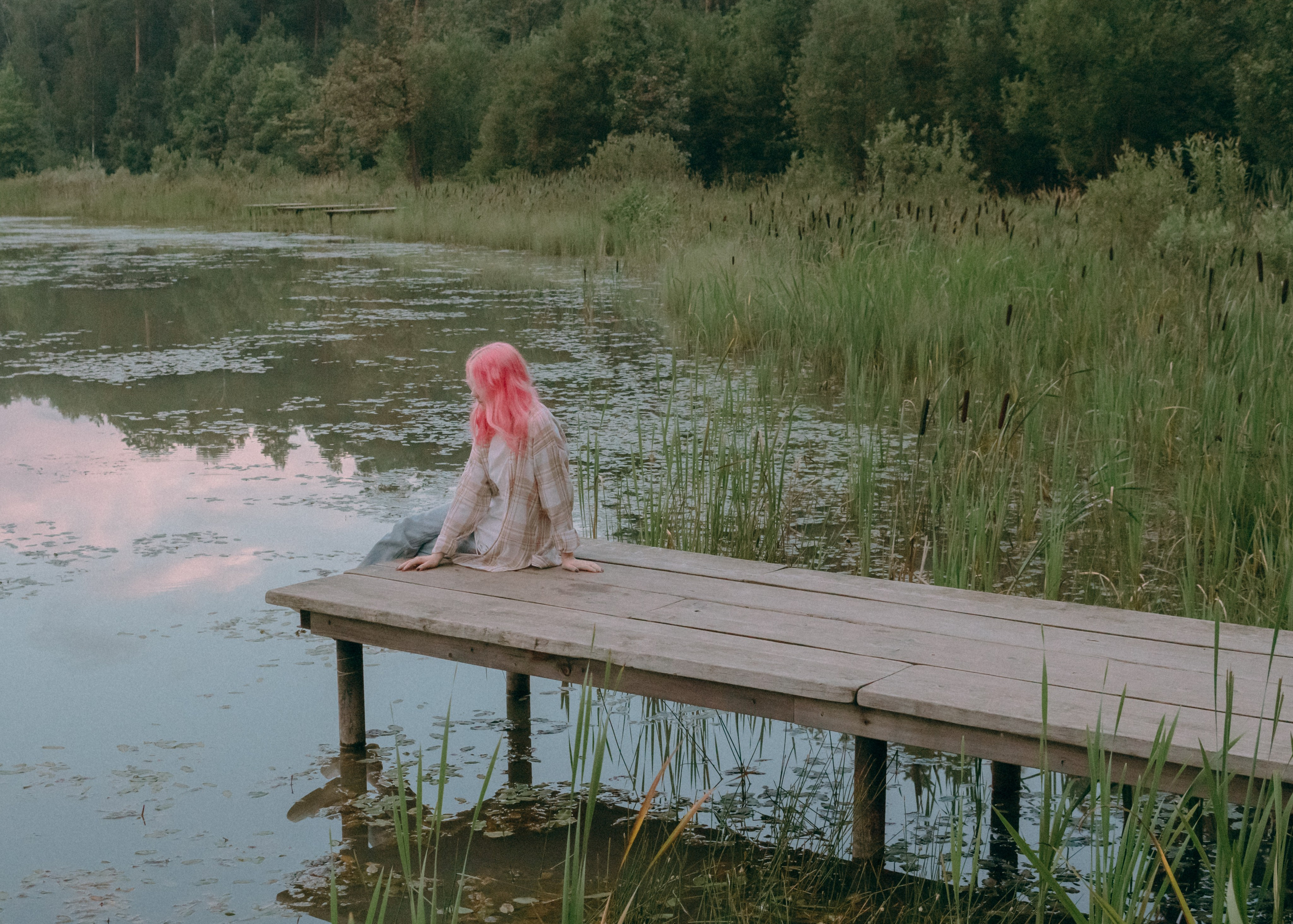 Виолетта, Лила и Питер. Фотограф-анималист Ксения Воробьева, Москва