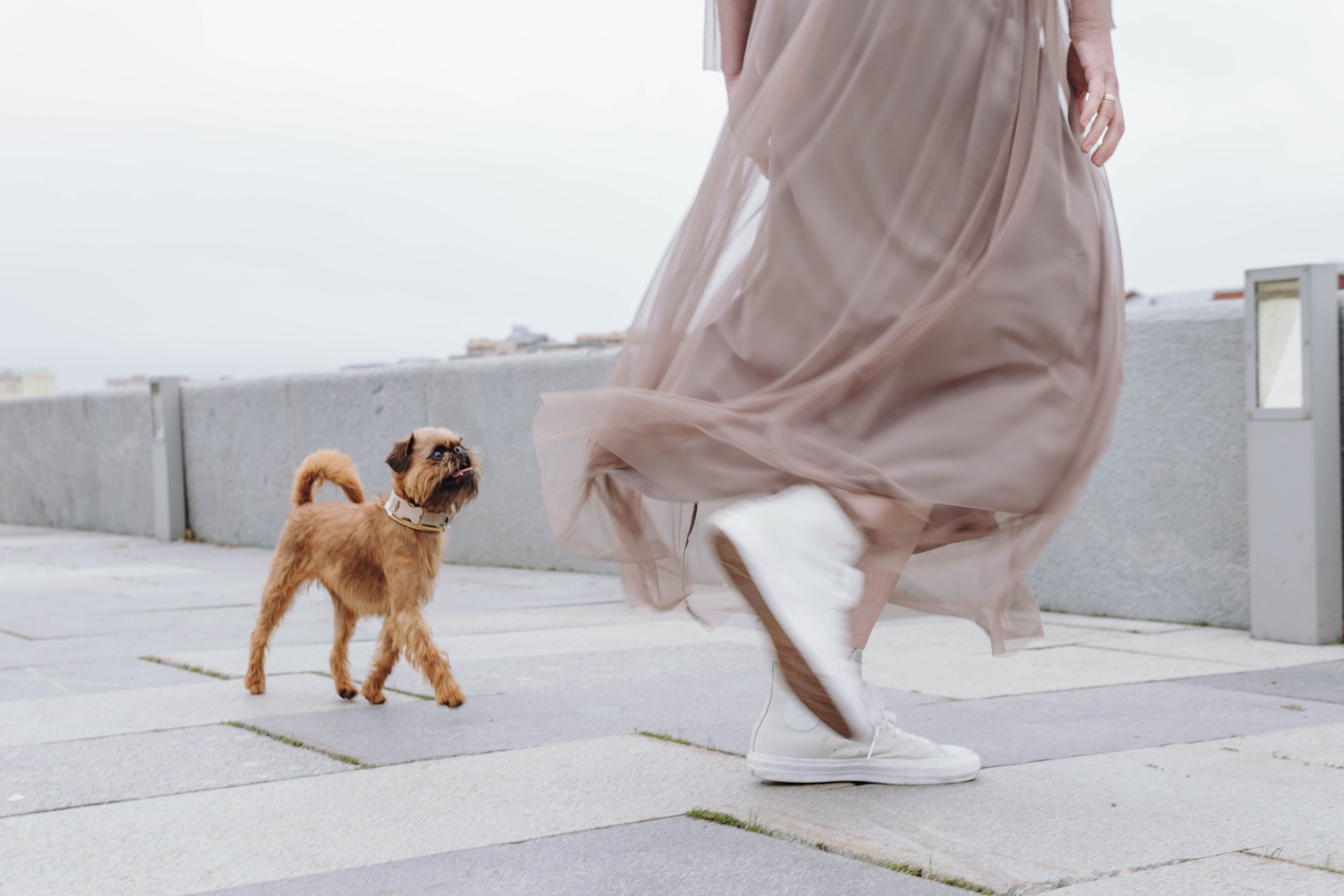 Наташа, Сережа и Хавьер. Фотограф-анималист Ксения Воробьева, Москва