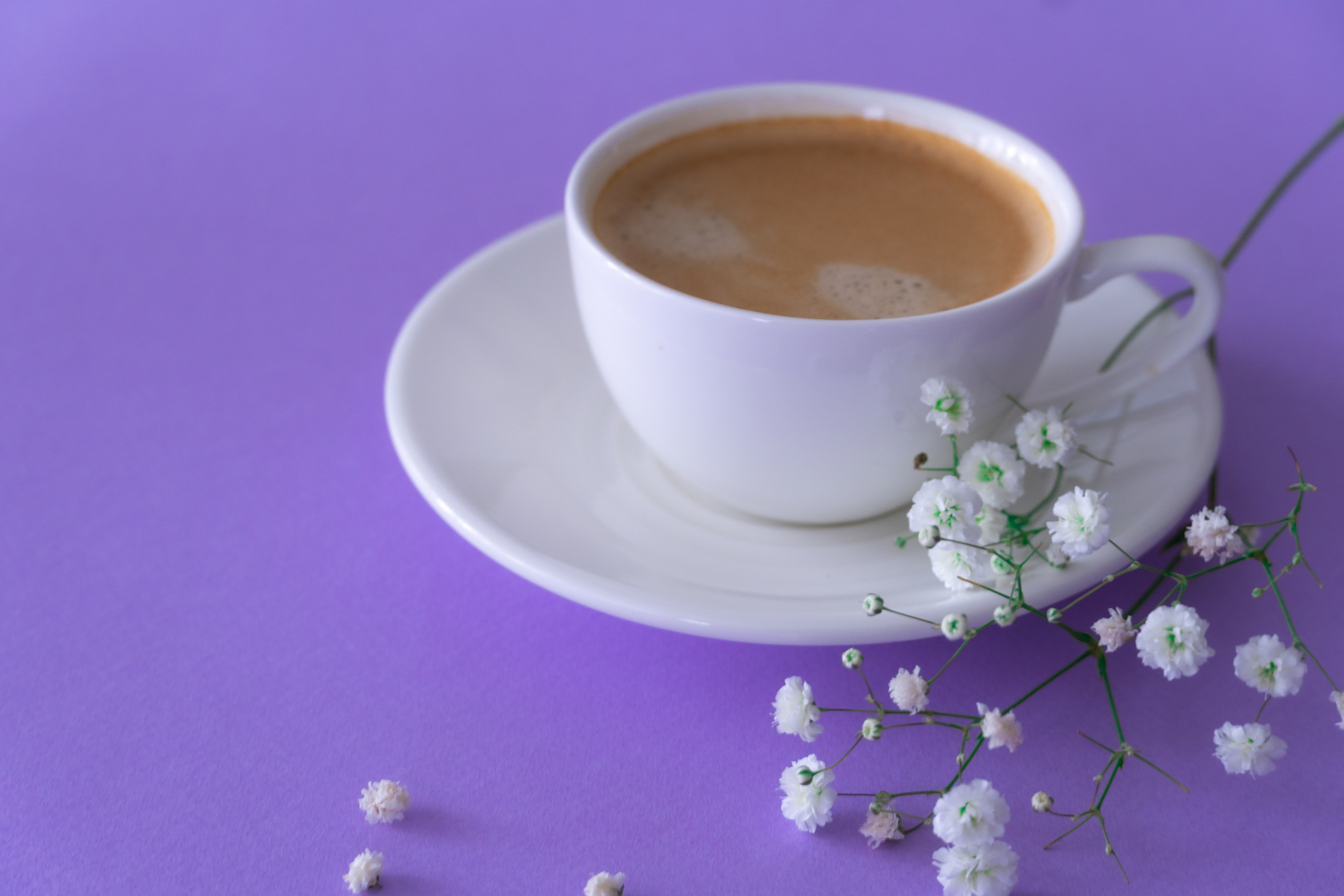 Предметная съемка. Предметный фотограф Санкт-Петербург