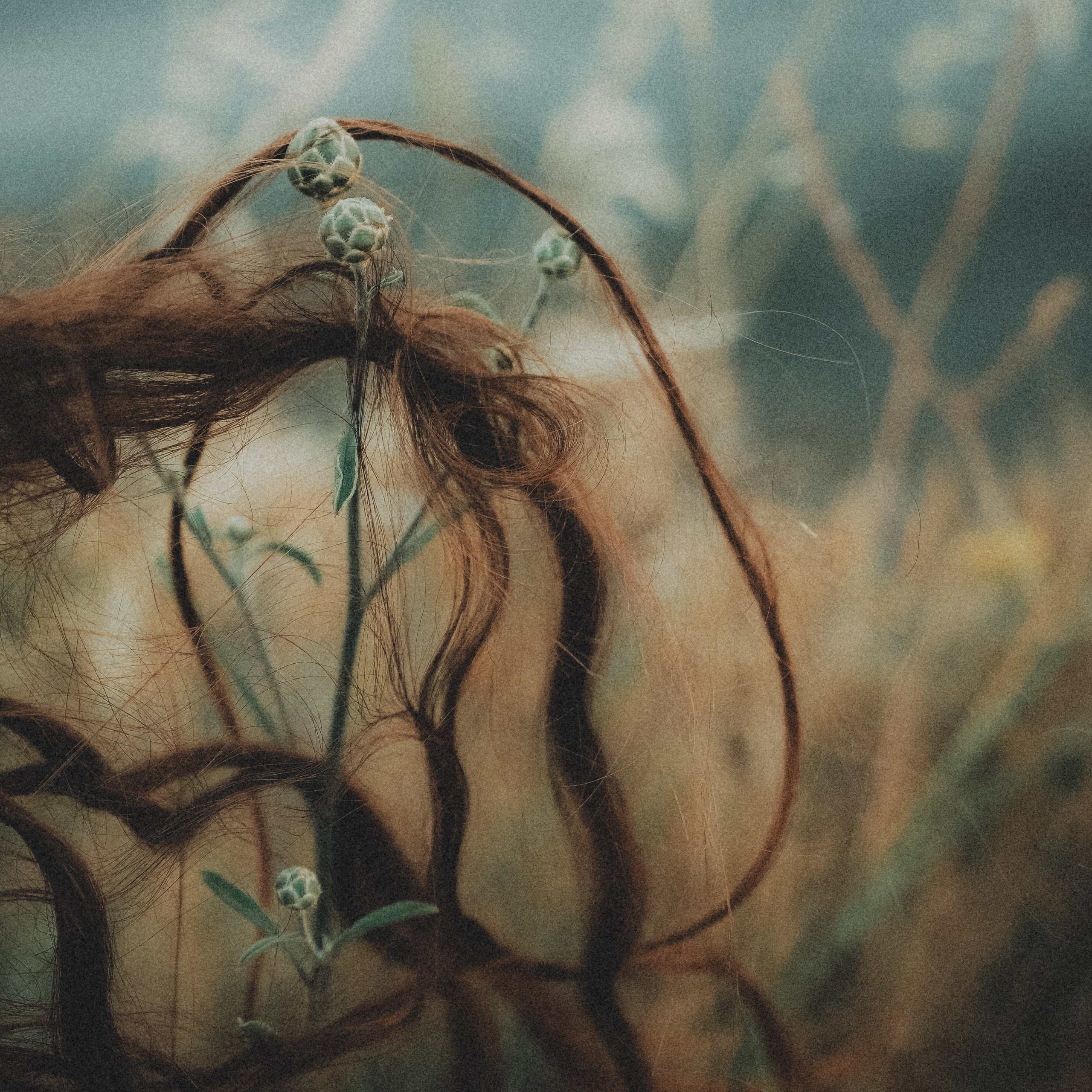 Personality. VISUAL ARTIST · KRONGAUZ ANASTASIA