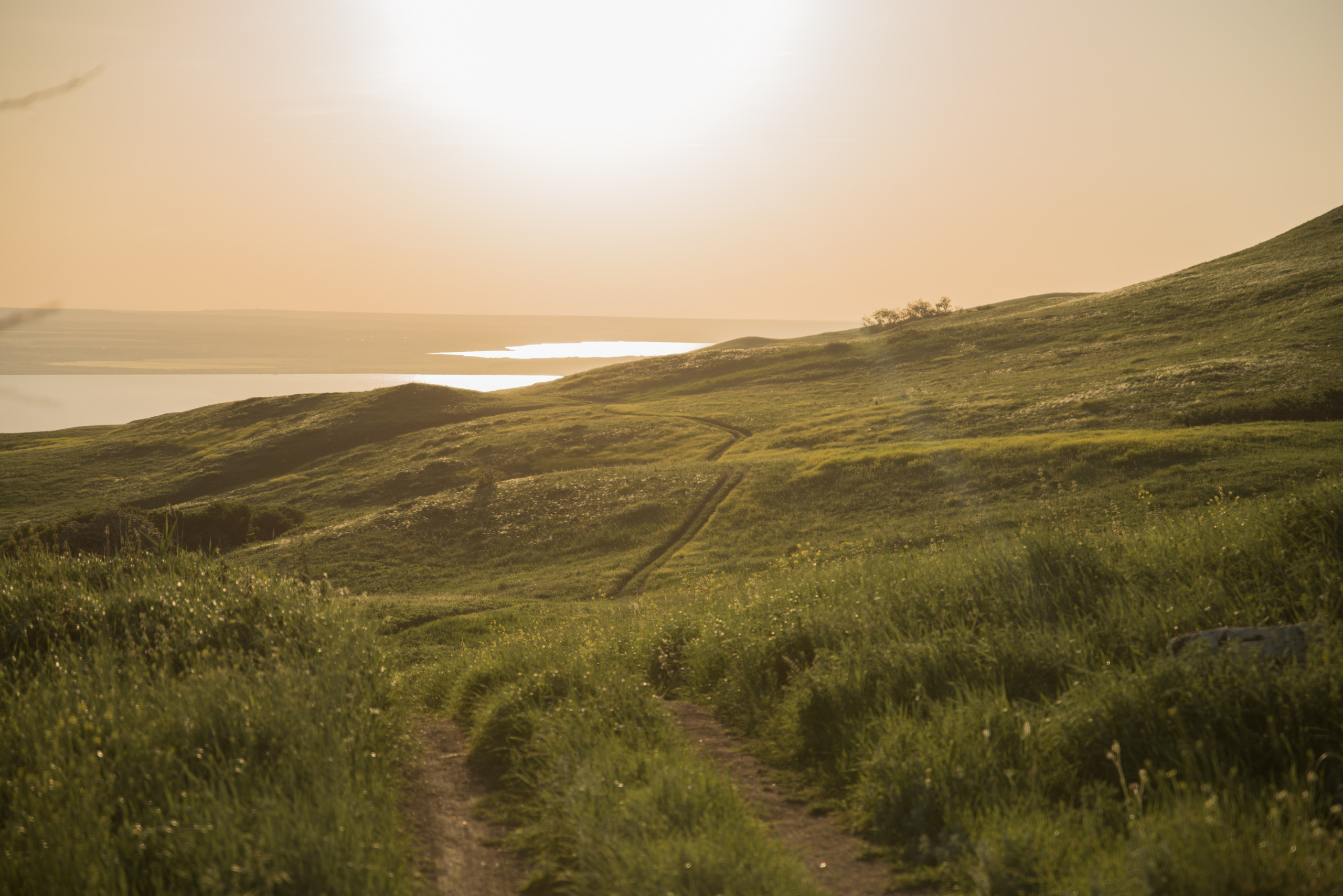 Семейна фотосессия — Виктория и Евангелина. Свадебный и семейный фотограф в Ставрополе Евгения Кузьмичева