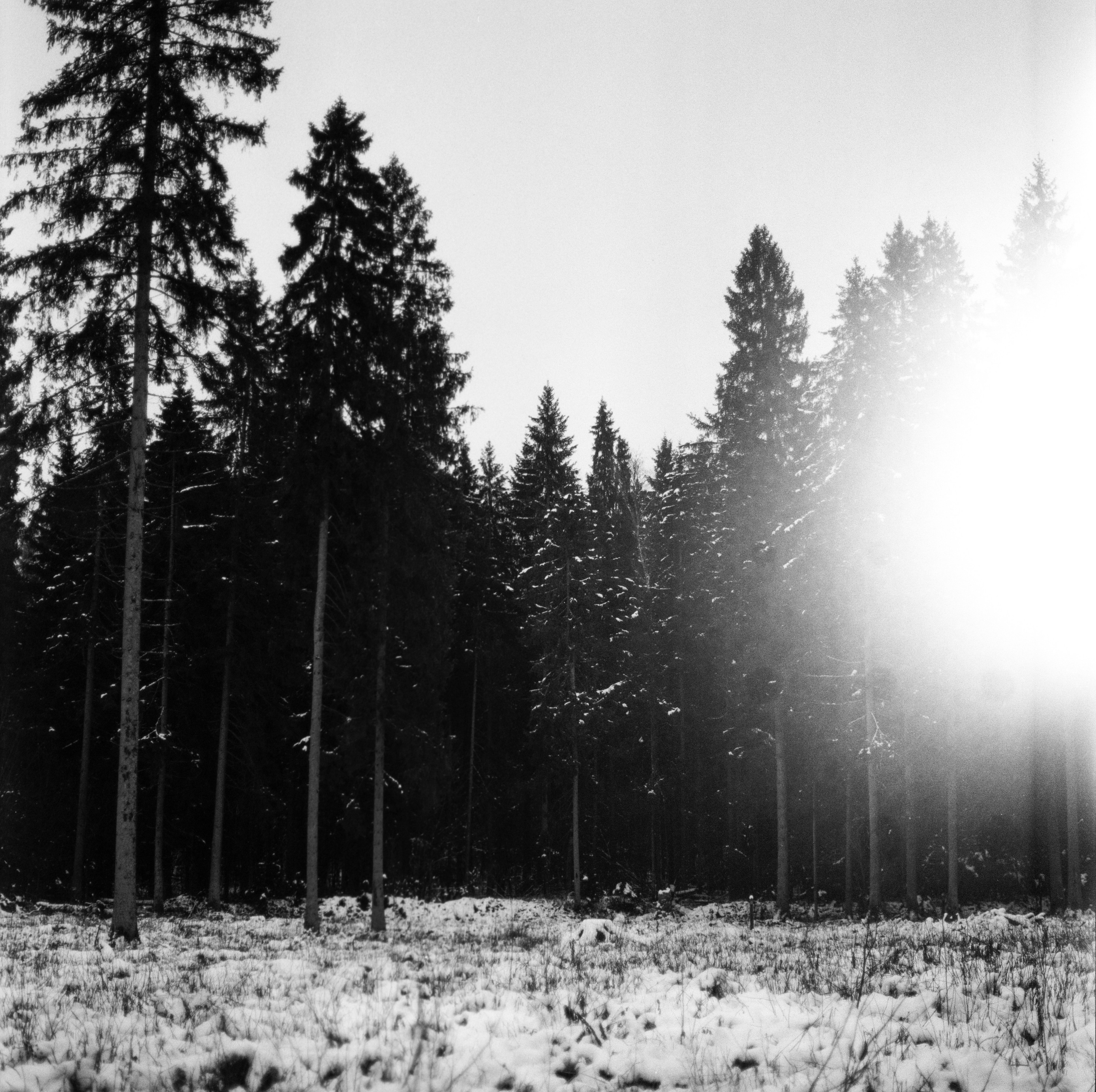 Kowa Super 66 — Kowa 85 mm f/2.8 / SFL Double-X Aerographic 400 (Kodak 2405)