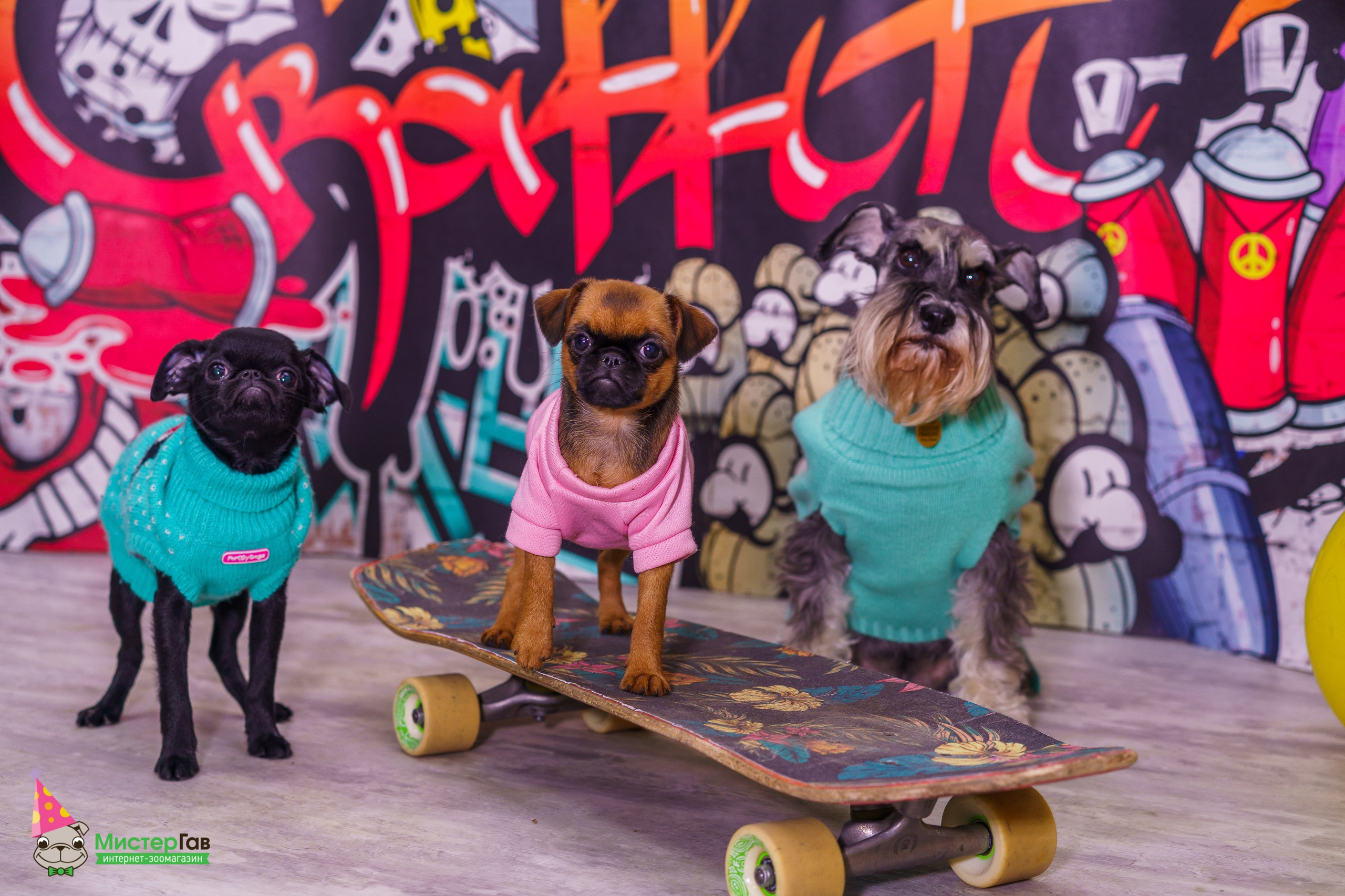 Мистер Гав -13 лет!. Фотограф Челябинск · Ольга Серебрякова