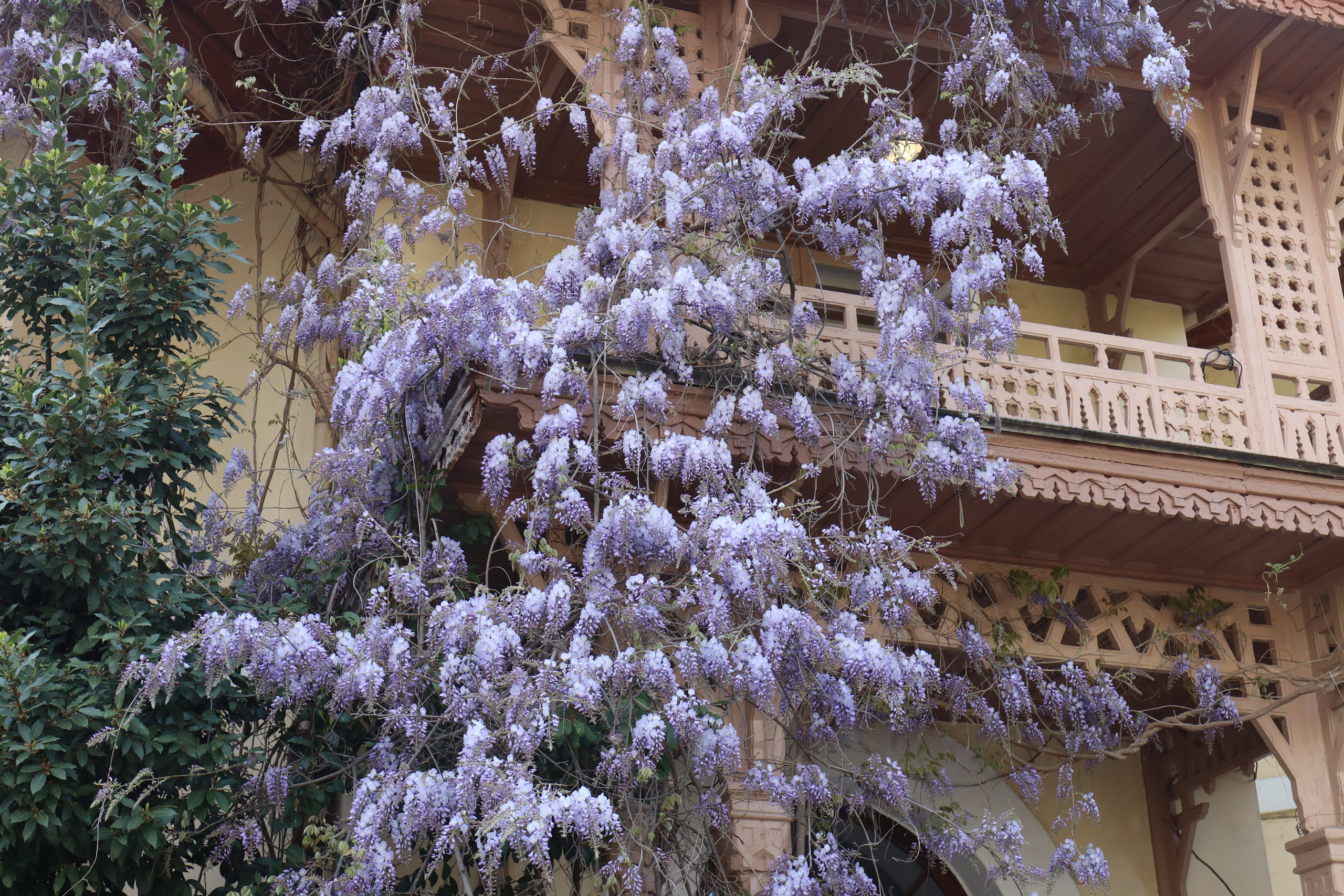 Крым. ЮБК (Севастополь, Кастрополь, Ялта). Май 2023. Путешественник-фотограф из Санкт-Петербурга Татьяна Свистулина