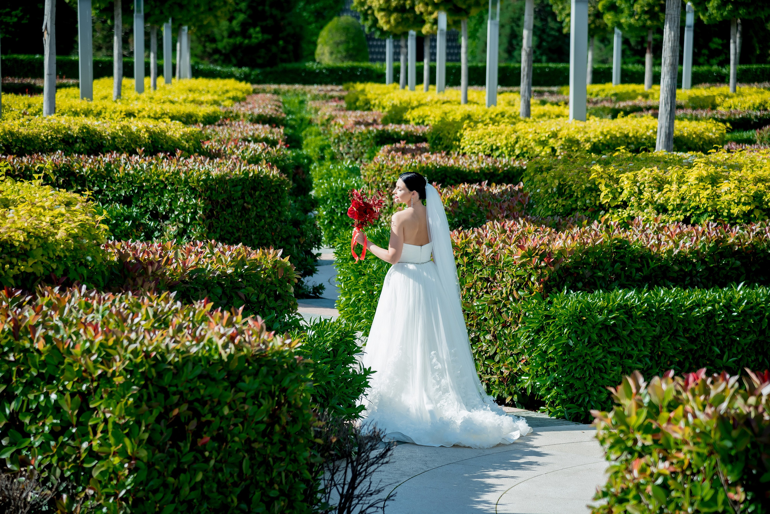 Свадьба Екатерины и Александра 2025. Свадебный и семейный фотограф в г. Краснодар Екатерина Зверева