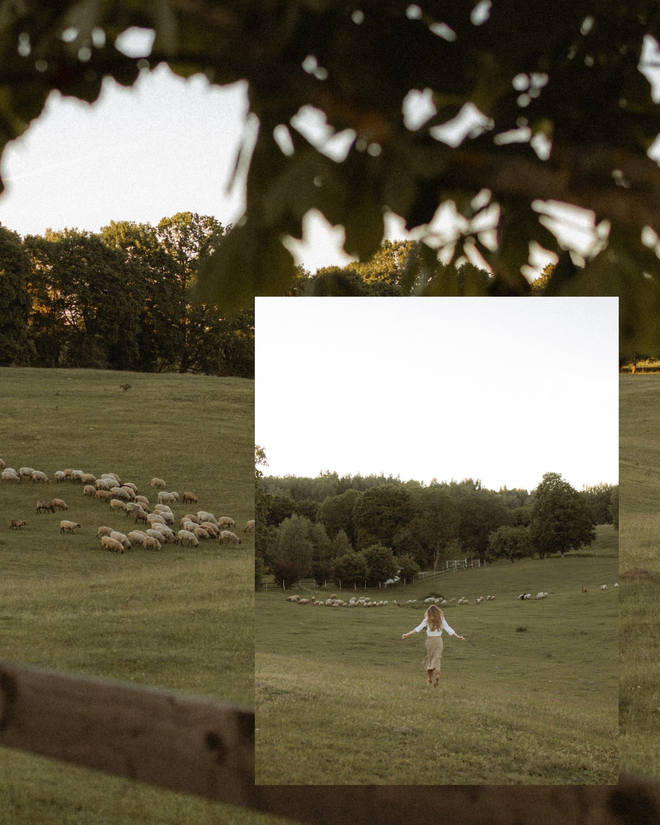 Семейные съемки. Семейный фотограф в Калининграде Юлия Нигаматулина
