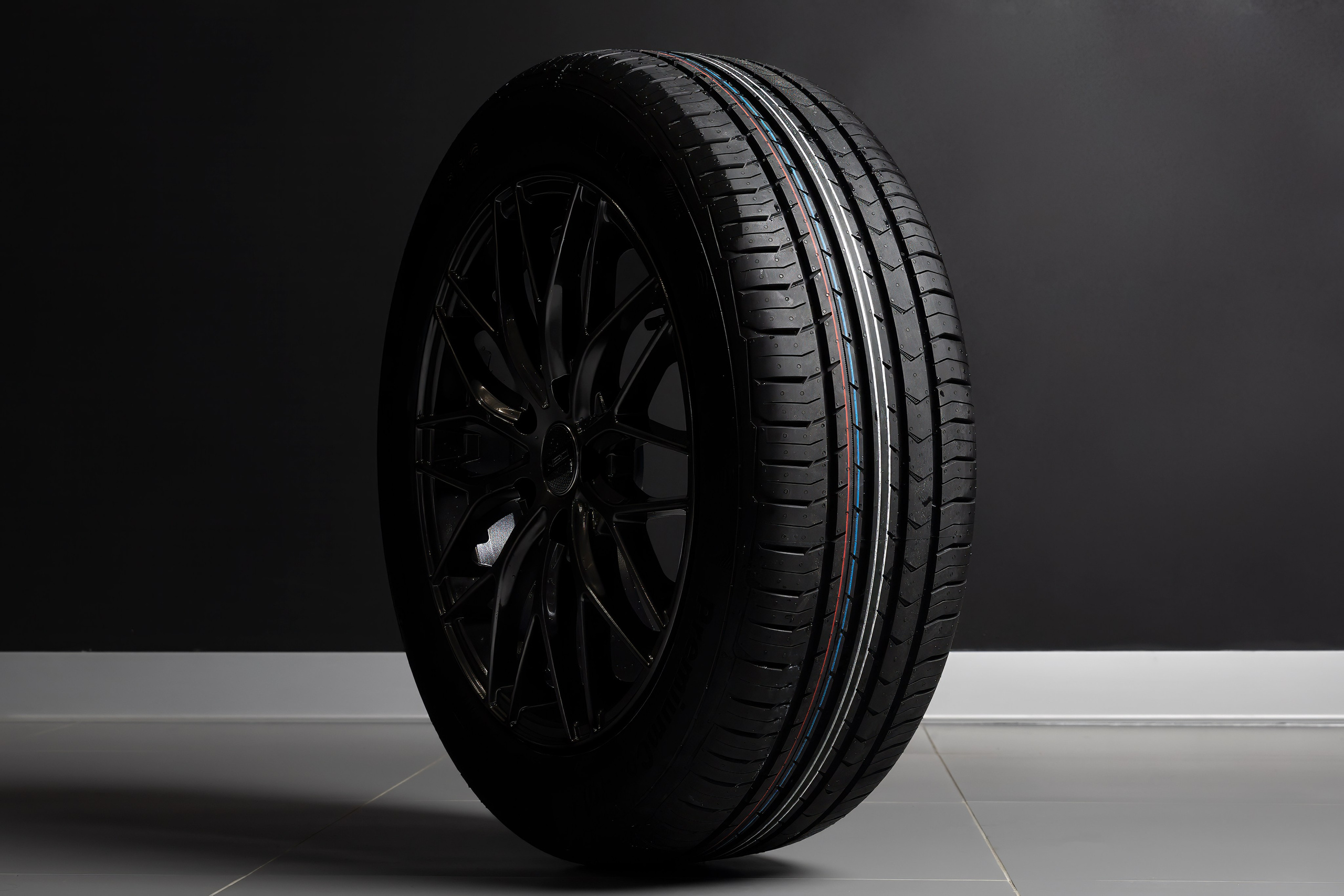 Шины. Photomantis