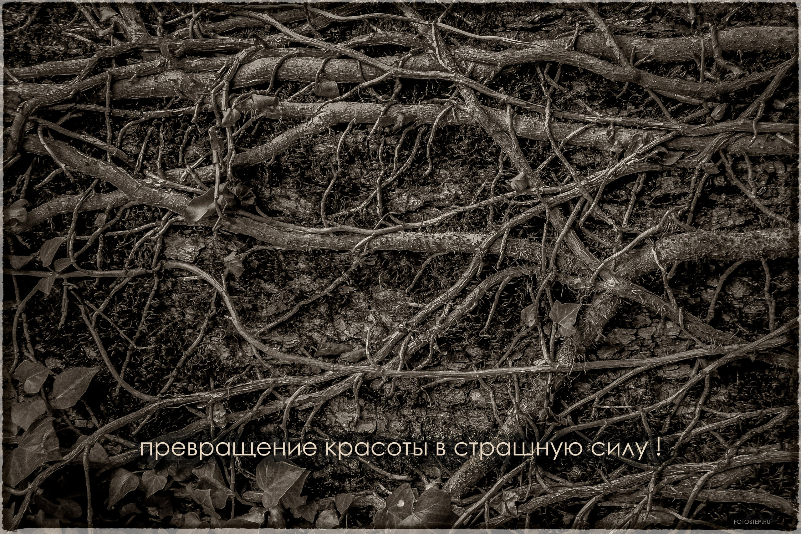 РЕКЛАМНЫЙ ФОТОГРАФ ИЗ МОСКВЫ ВИТАЛИЙ СТЕПАНОВ, FOTOSEP.RU