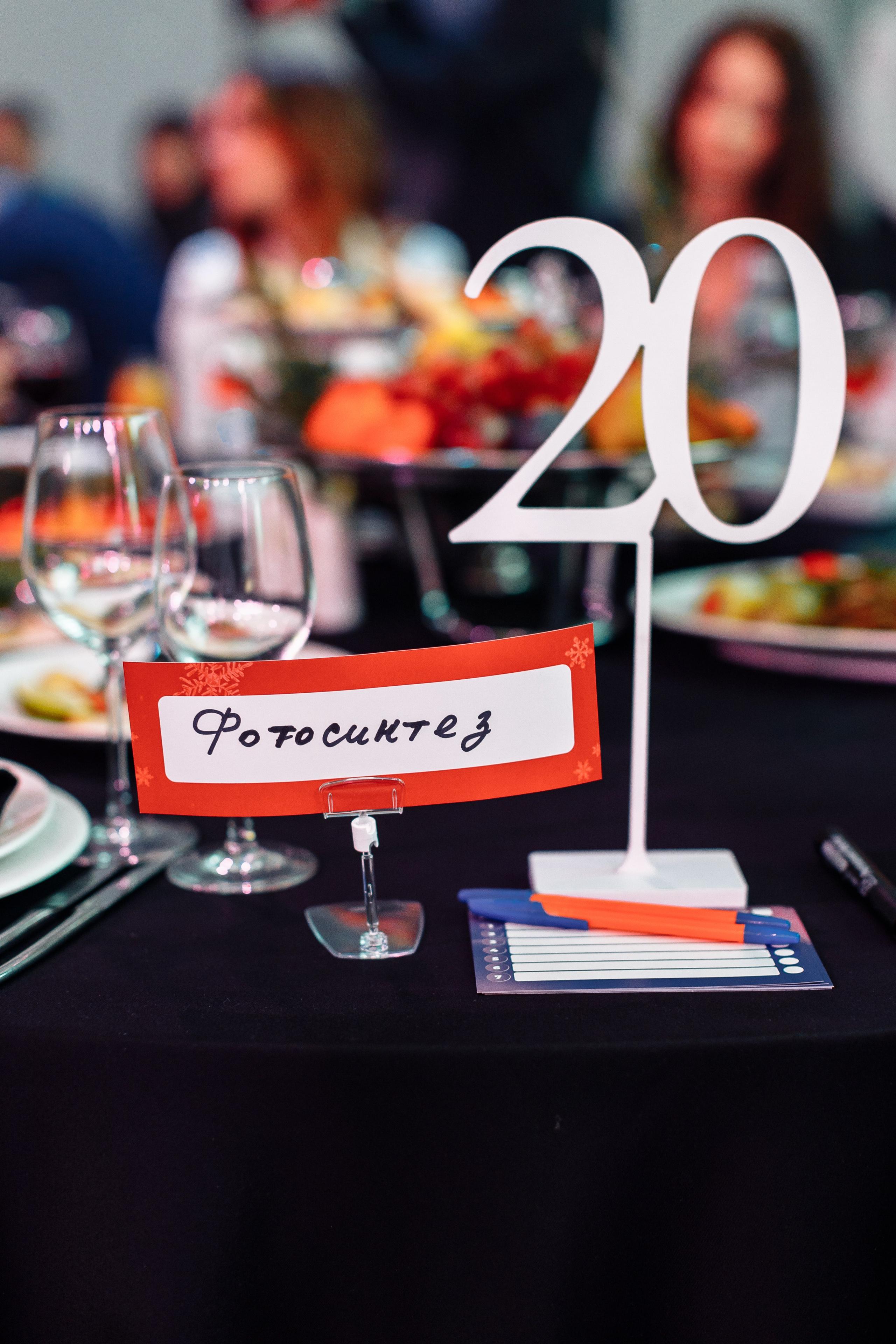 Корпоратив ПолСтраны. Свадебный и портретный фотограф в Королёве Сергей Чихарев