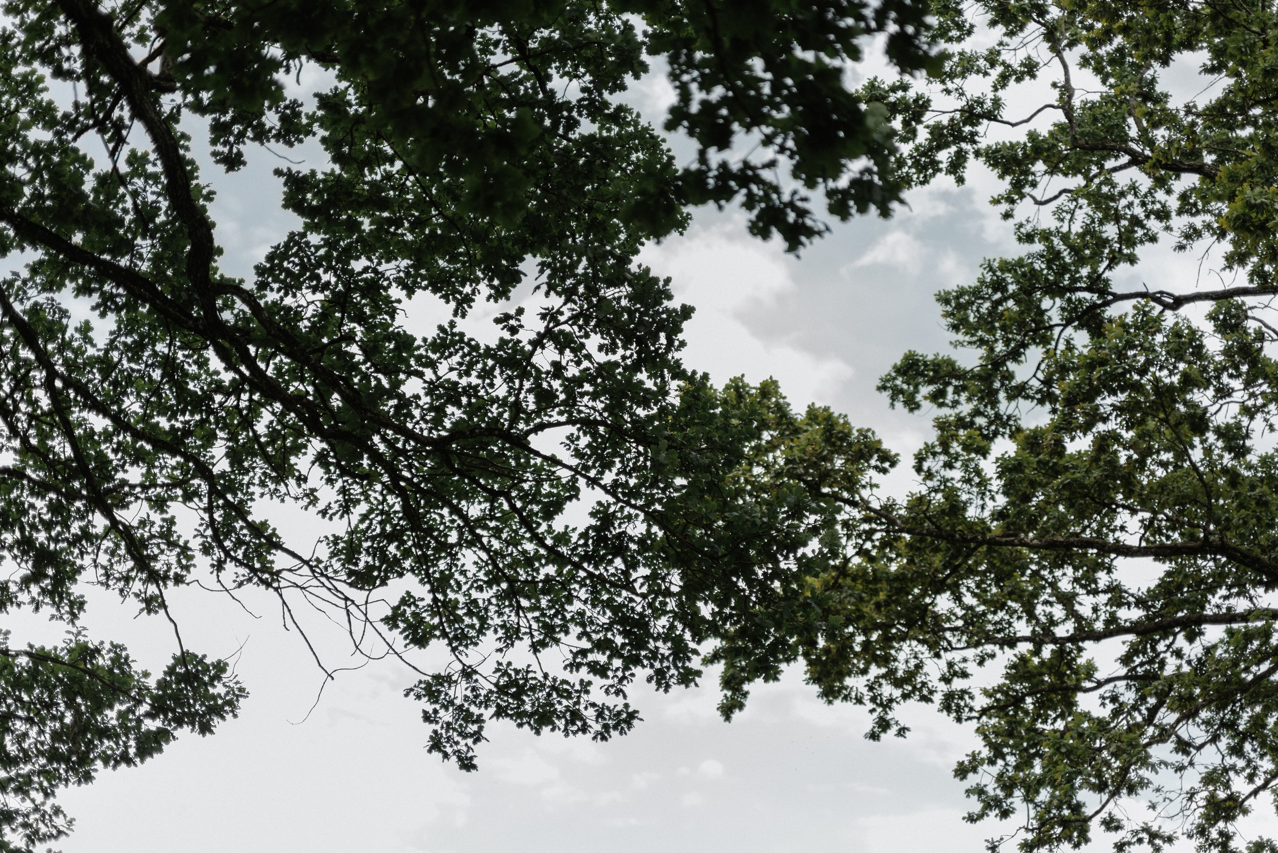 Александра и Андрей. Свадебный и портретный фотограф в Минске Татьяна Лобода
