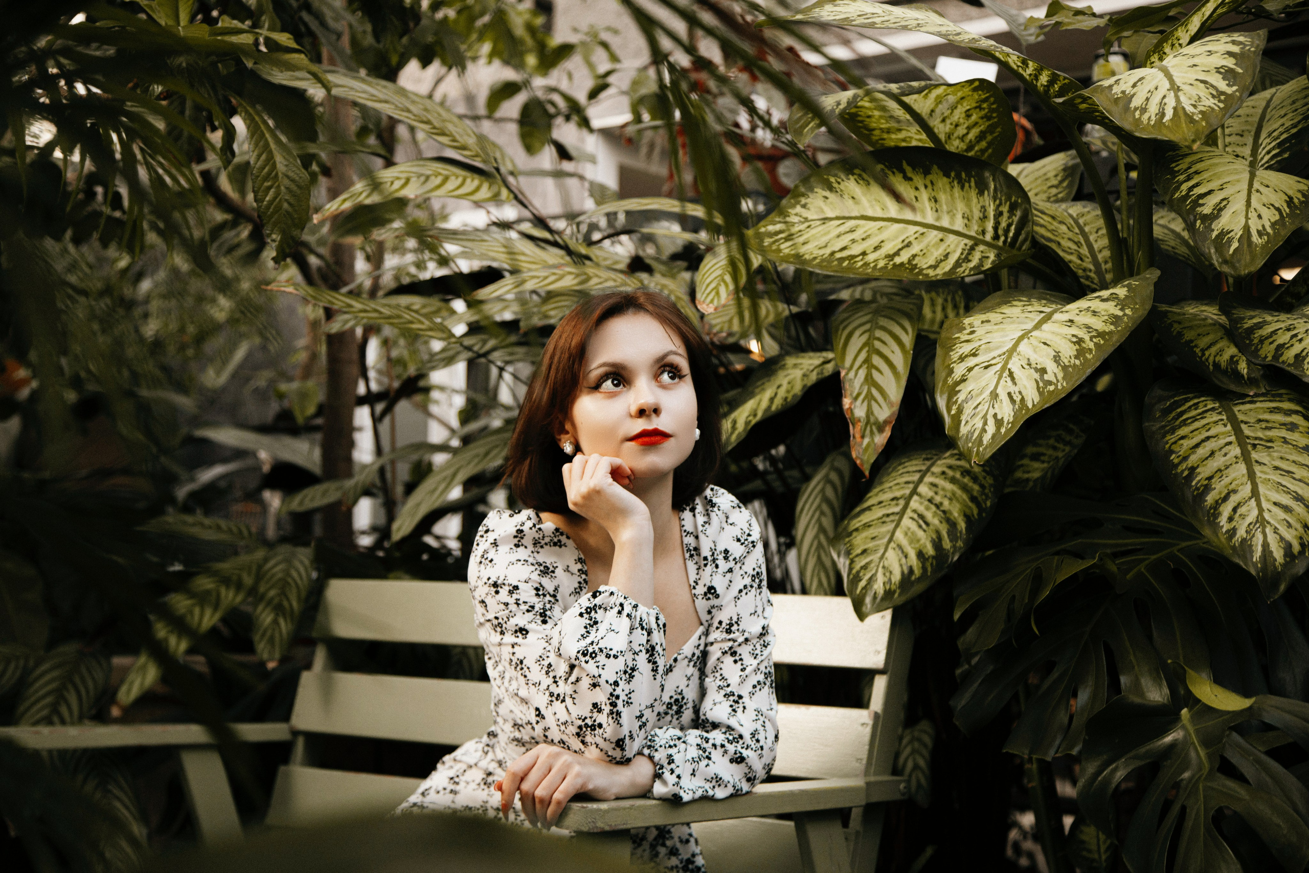 Оранжерея Таврического сада