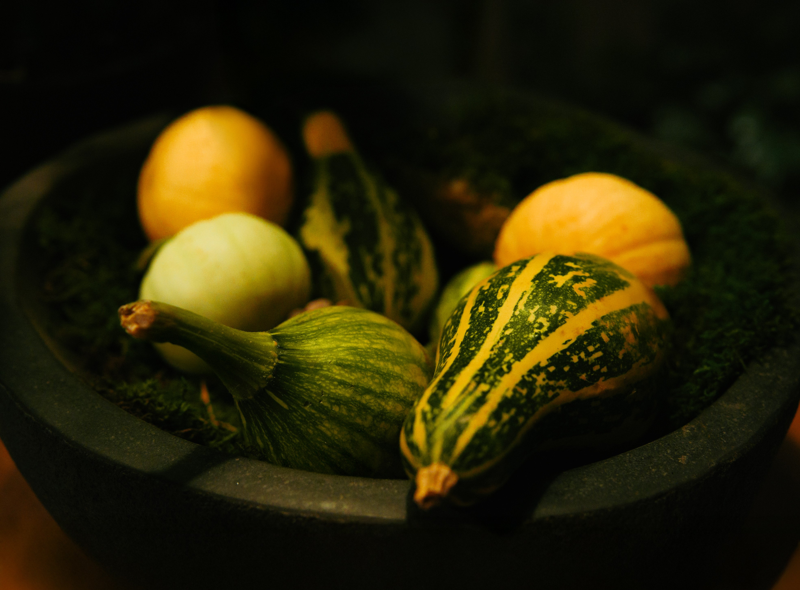 Осень 2025. Фотограф из Москвы — DASHA NOVA | Авторская фотография в разных жанрах