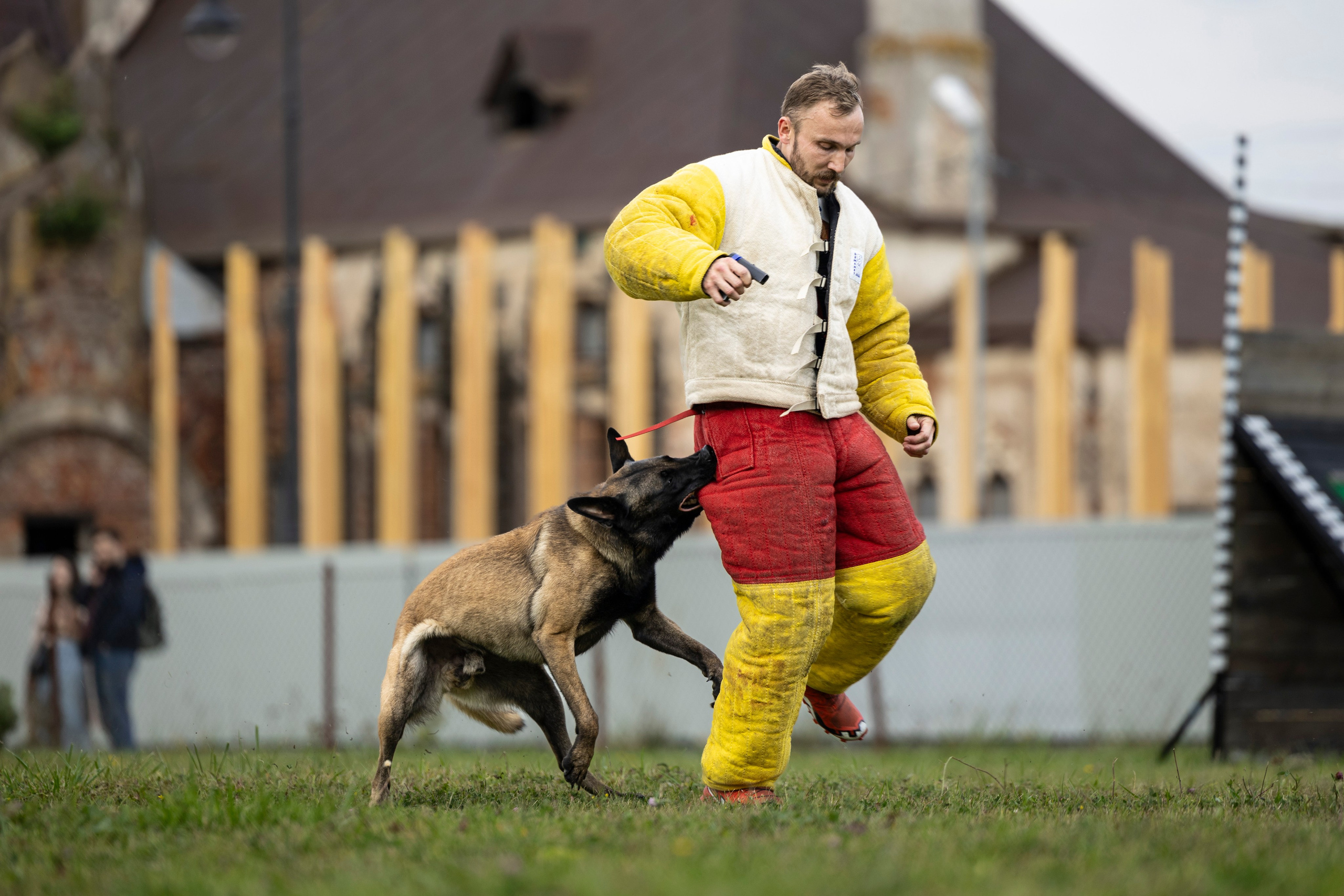 Испытания по Мондьорингу г. Пушкин. Фотограф-анималист Анна Маринич