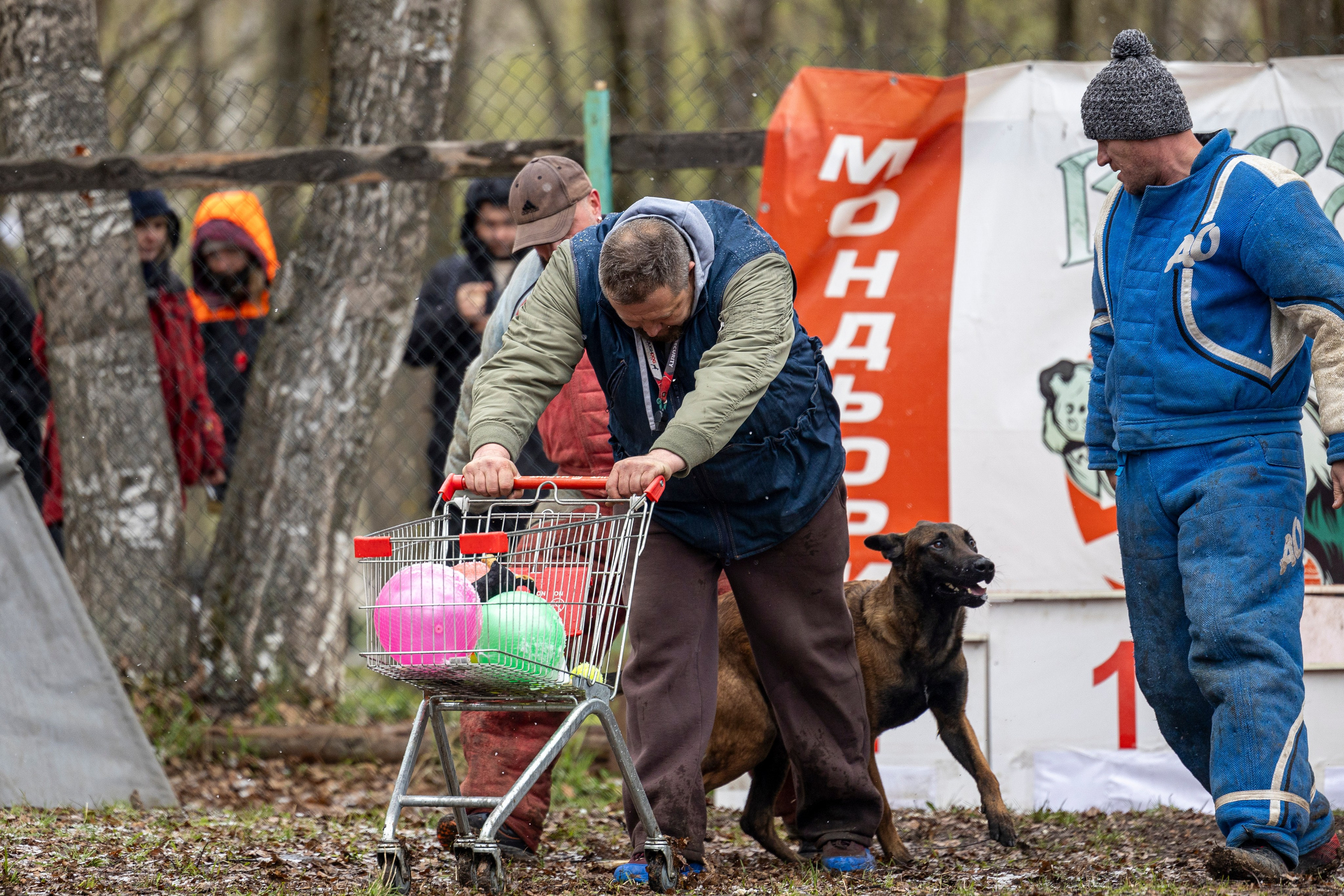 Квалификационные состязания по мондьорингу г. Вологда 11.05.24. Фотограф-анималист Анна Маринич