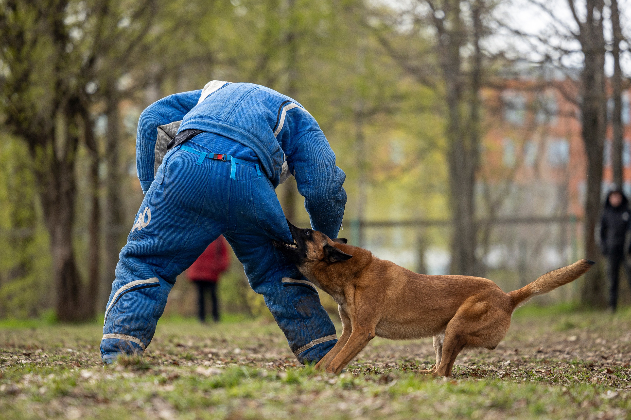 Квалификационные состязания по мондьорингу г. Вологда 11.05.24. Фотограф-анималист Анна Маринич