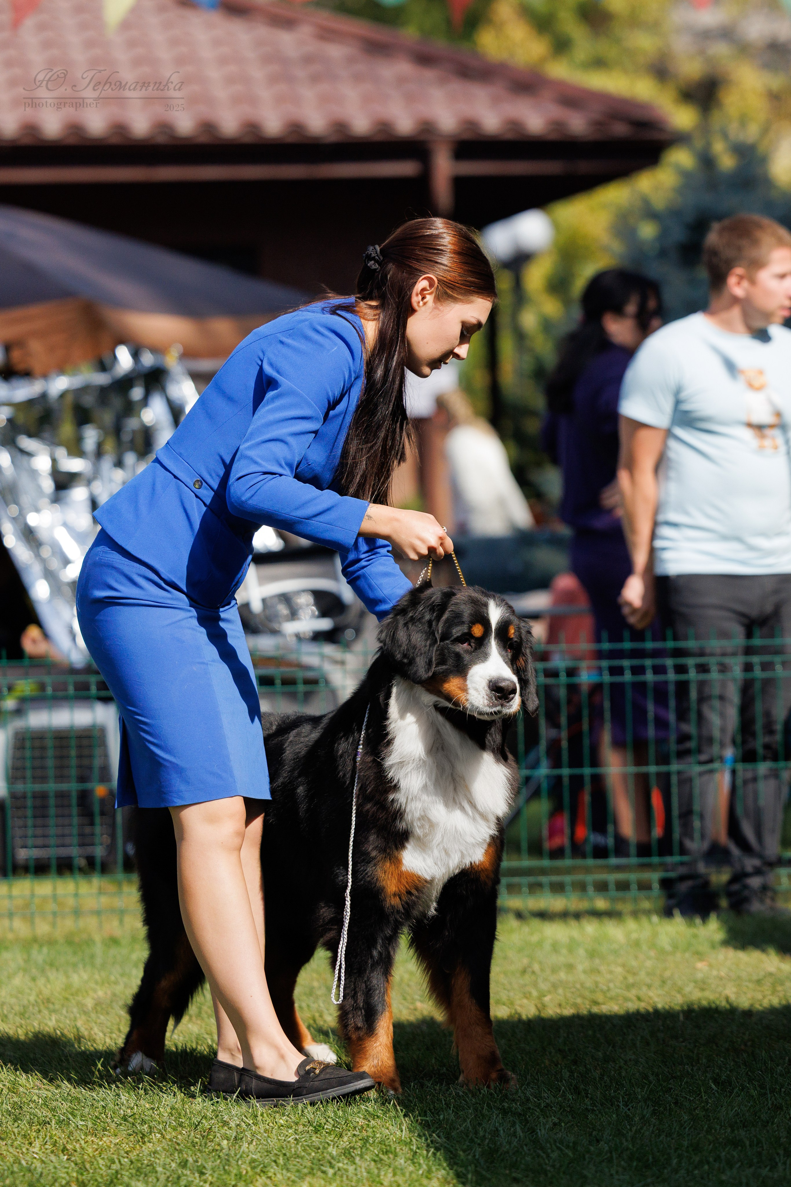 Бишкек 3х CACIB 26-28.09.2025. Фотограф-анималист Юлия Германика