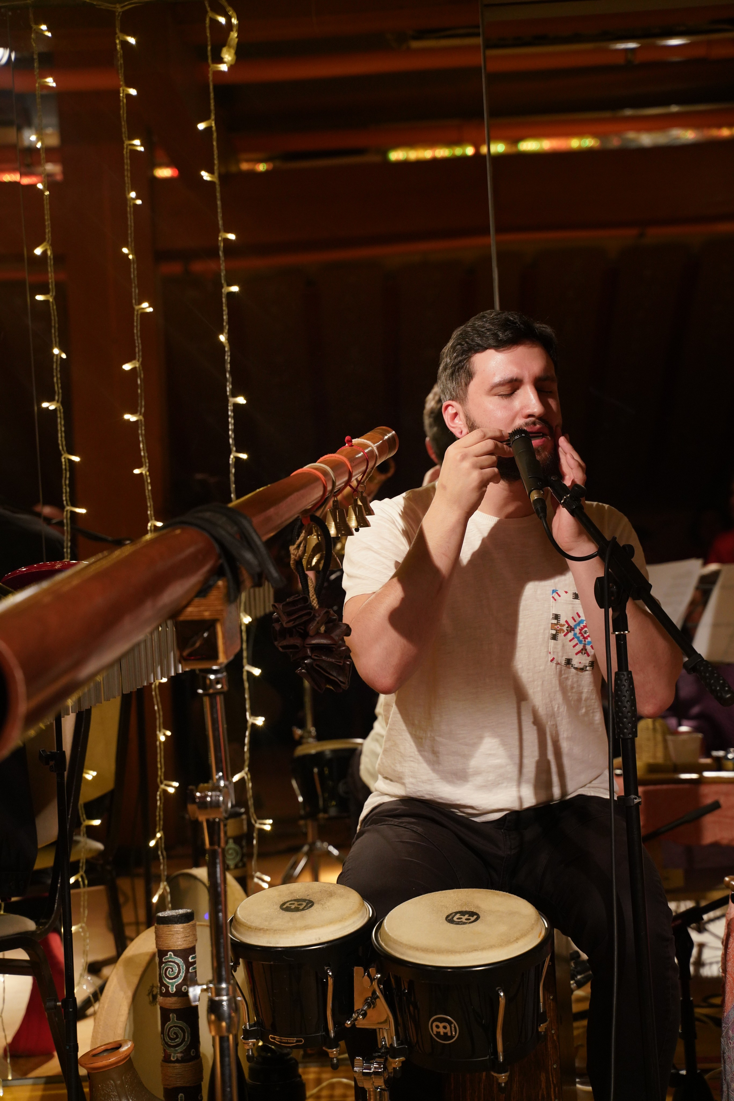 Концерт Forest jam project. Портретный и репортажный фотограф Наталья Горобец