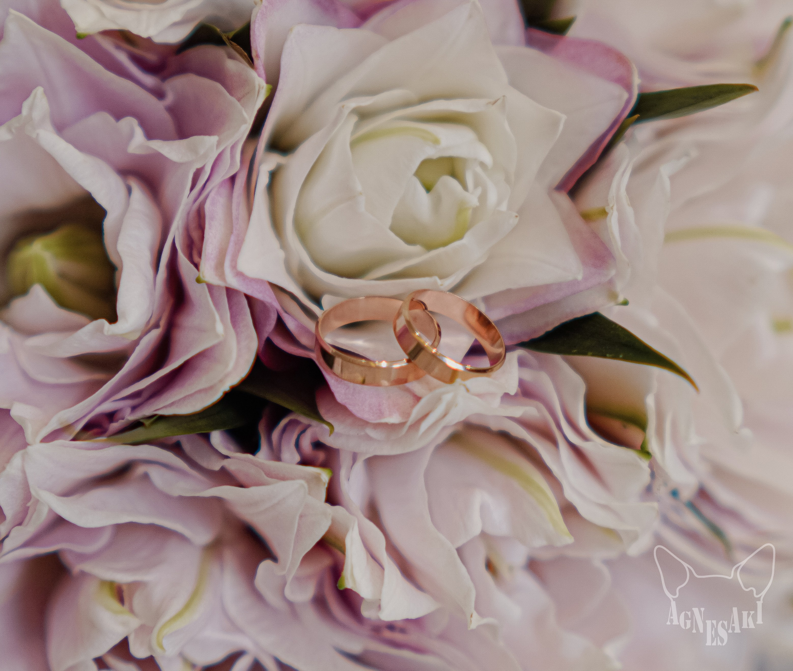 Алексей и Елена. Agnes Aki  Твой НЮ фотограф в Москве