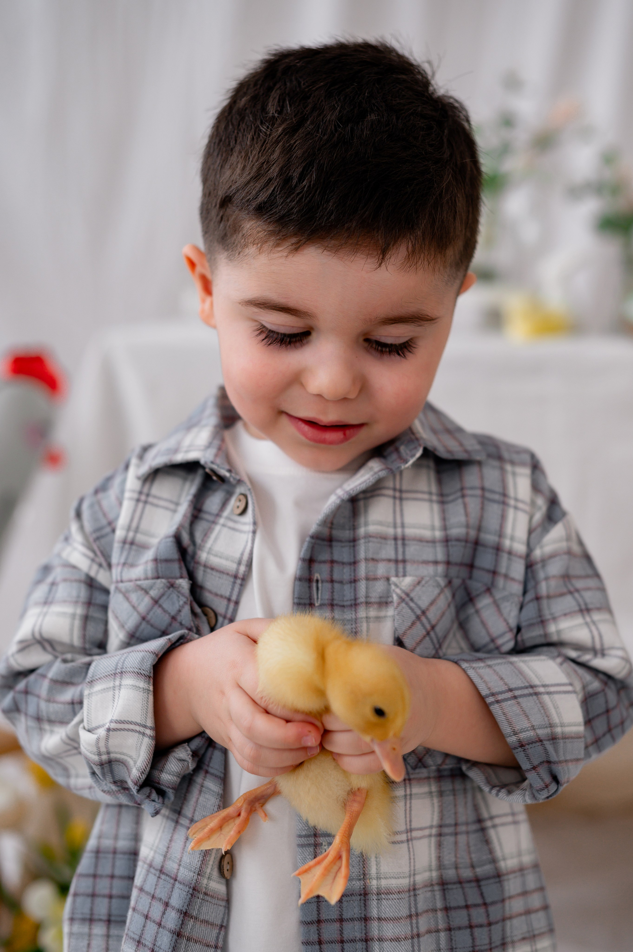 Лев Арина Вика Алена. Фотограф Татьяна Иванчикова