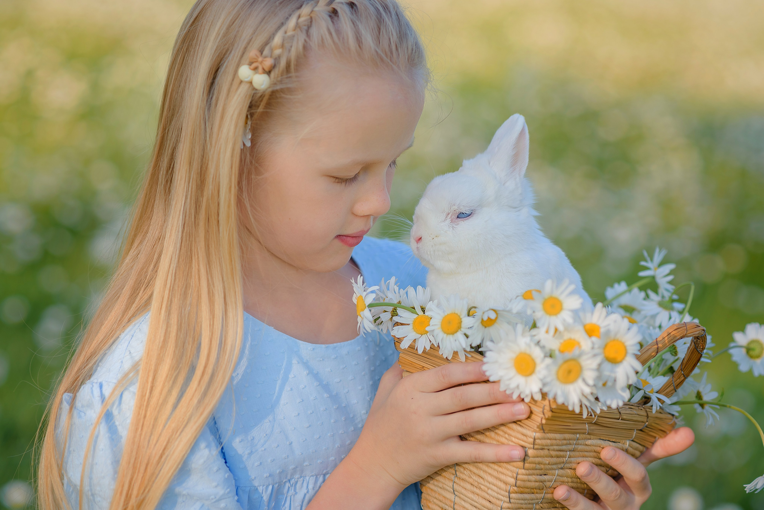 Ромашковое поле. Семейный фотограф в Рязани Мария Ермакова