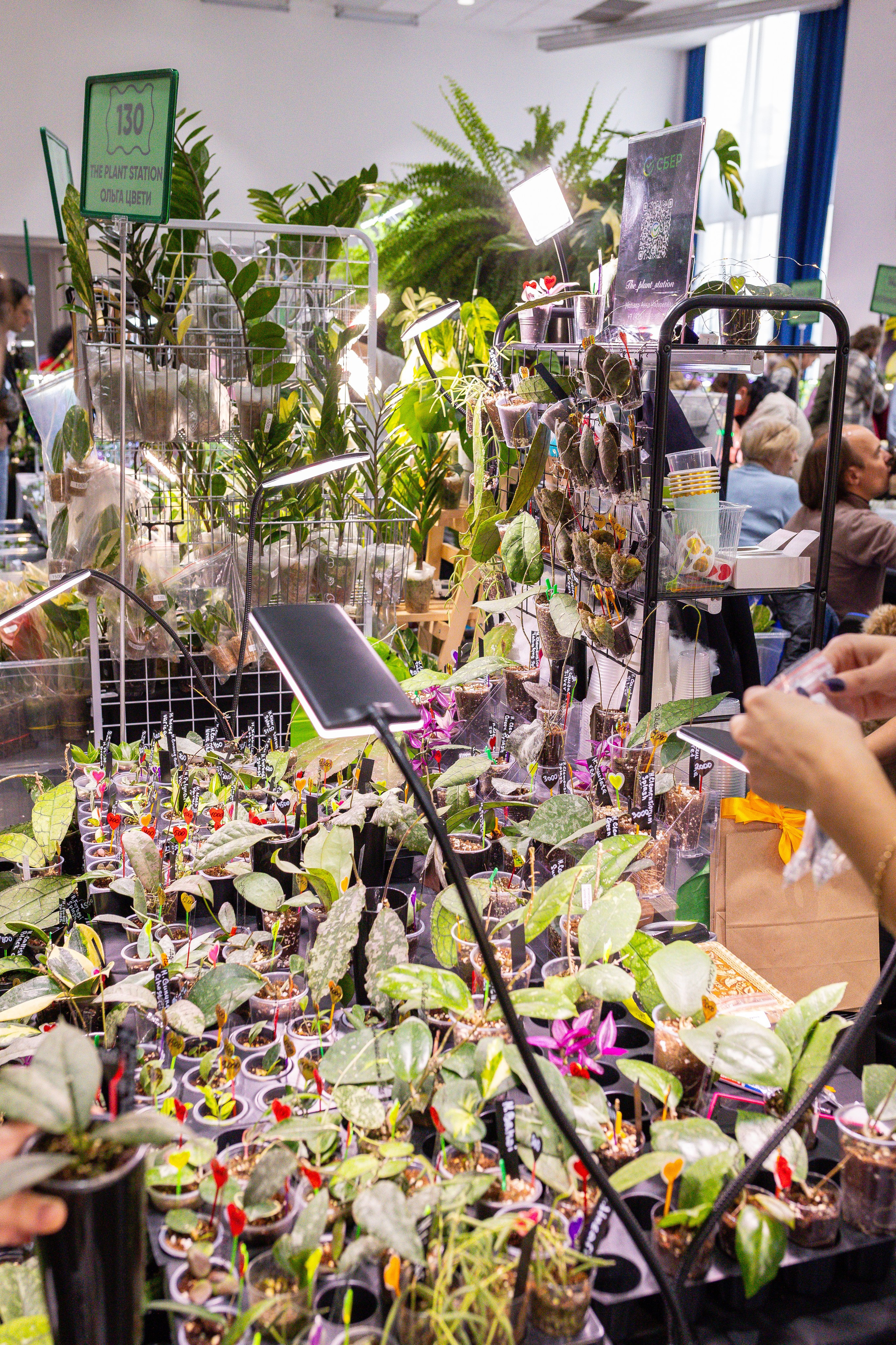 Монстериум 11–12 октября. Александра Куликова фотограф, Москва