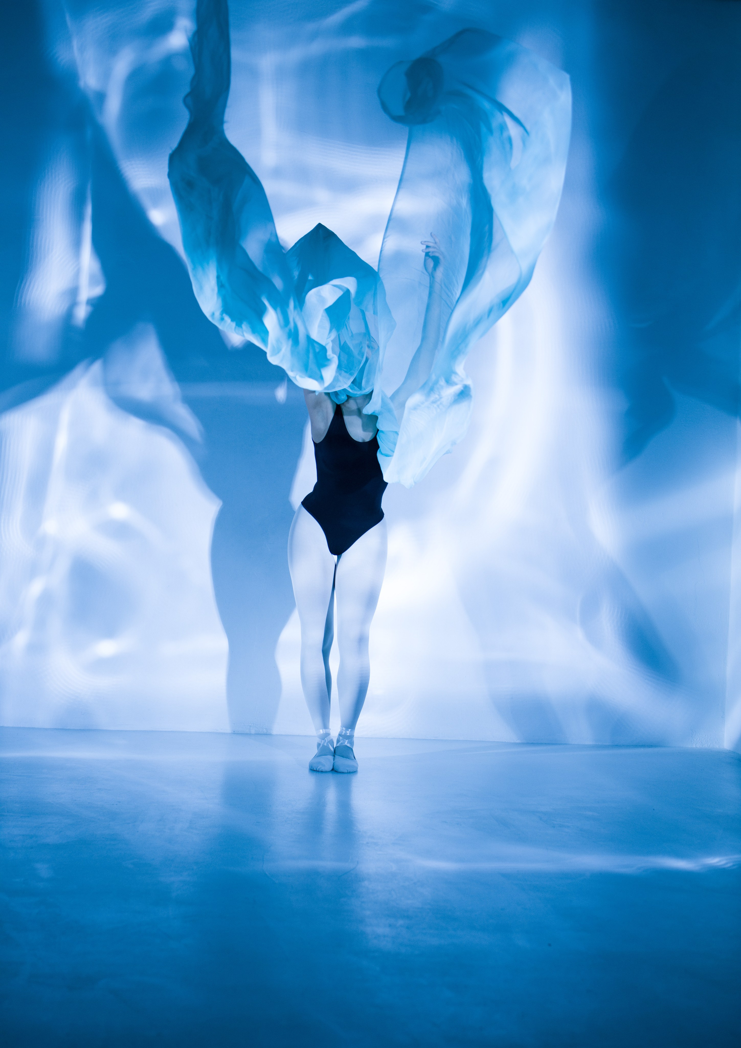 Лилия. Художественная фотография