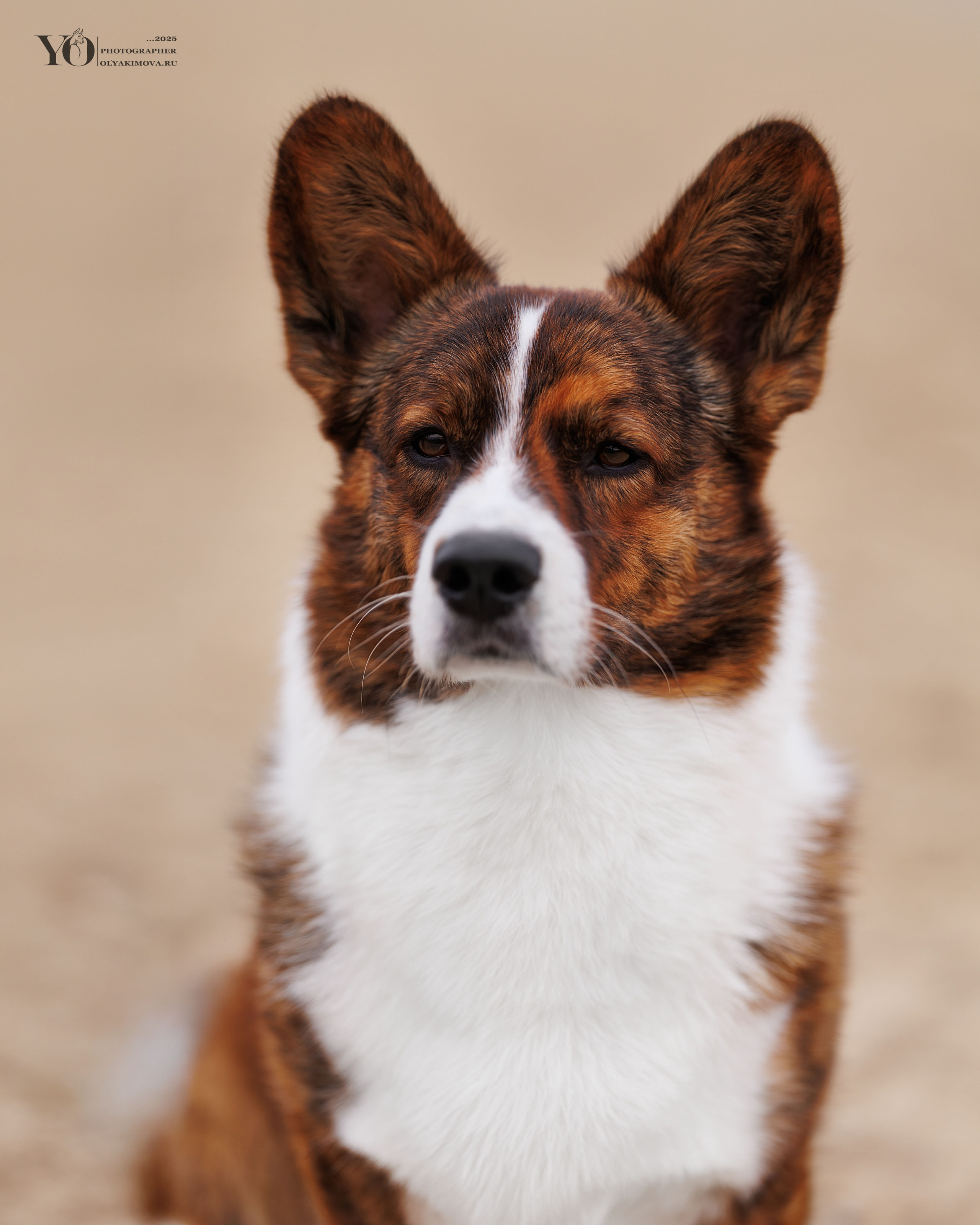 Экстерьер. Фотограф