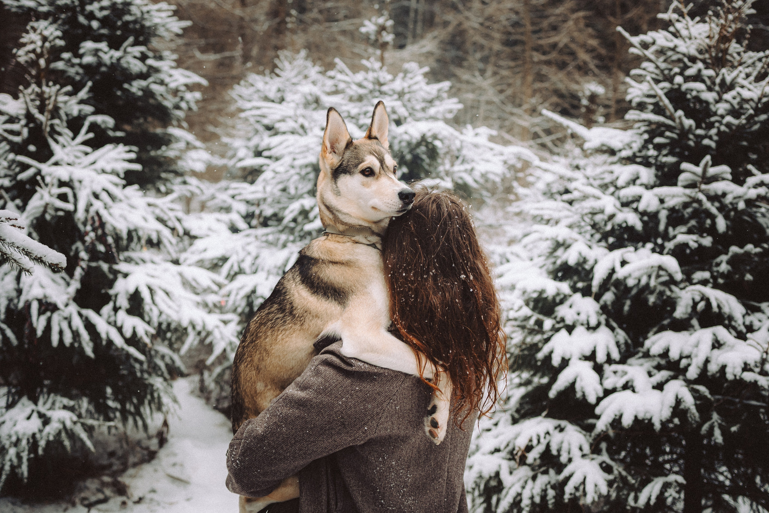 Аня и Рокси