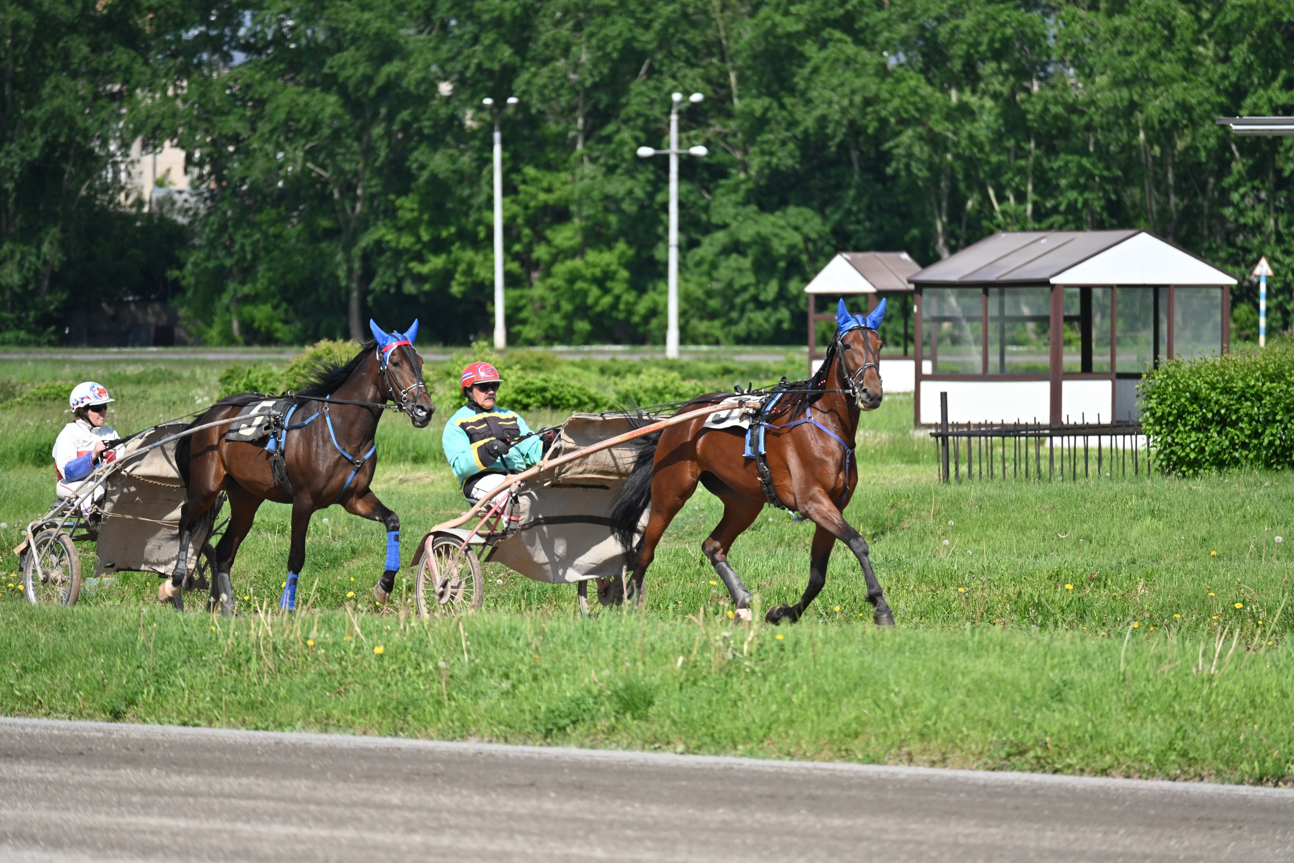 Ипподром (Москва). Fotolux