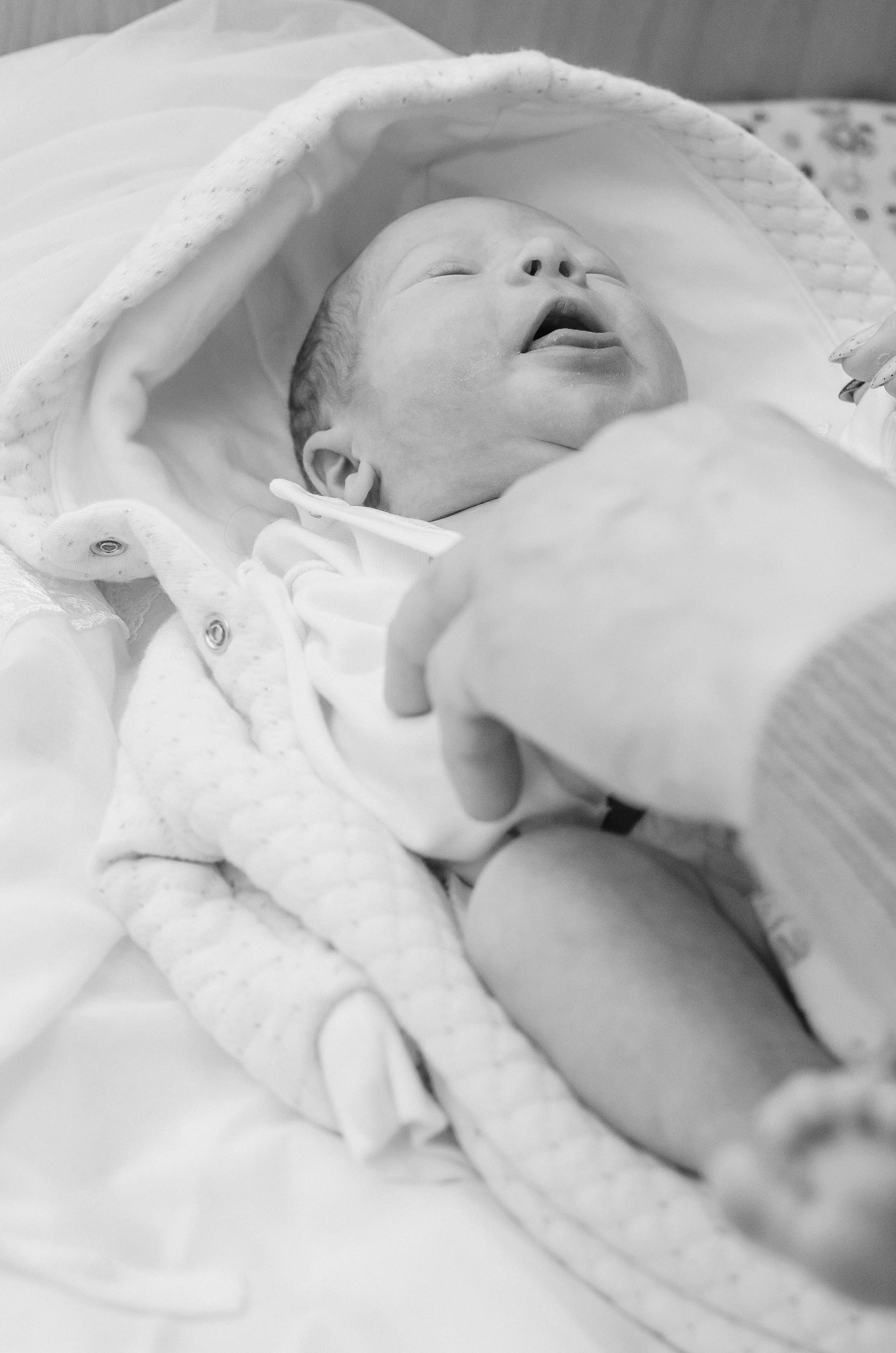 Карина. Первое знакомство