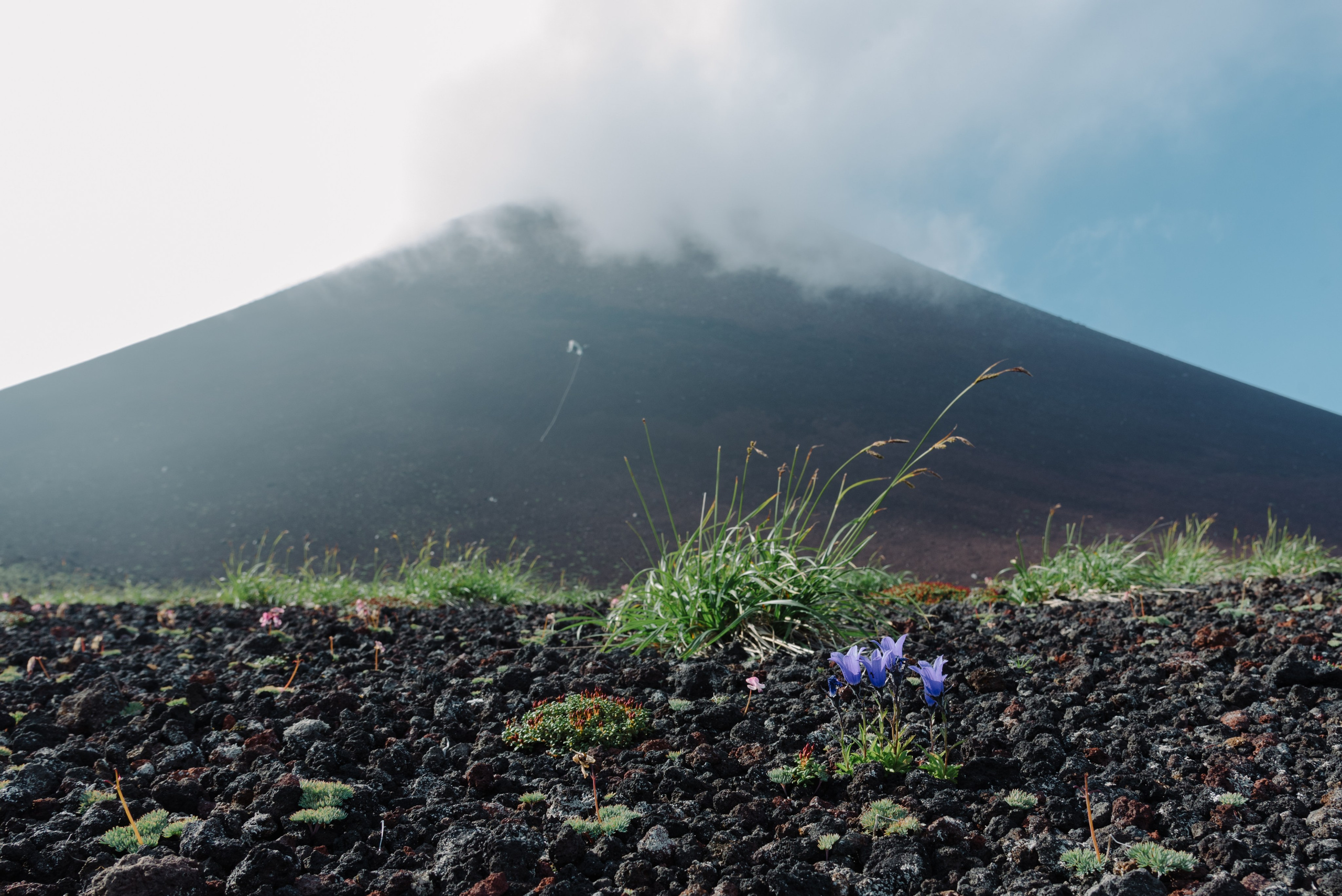 Сахалин и Курильские острова. Фотограф Алиса Калинина