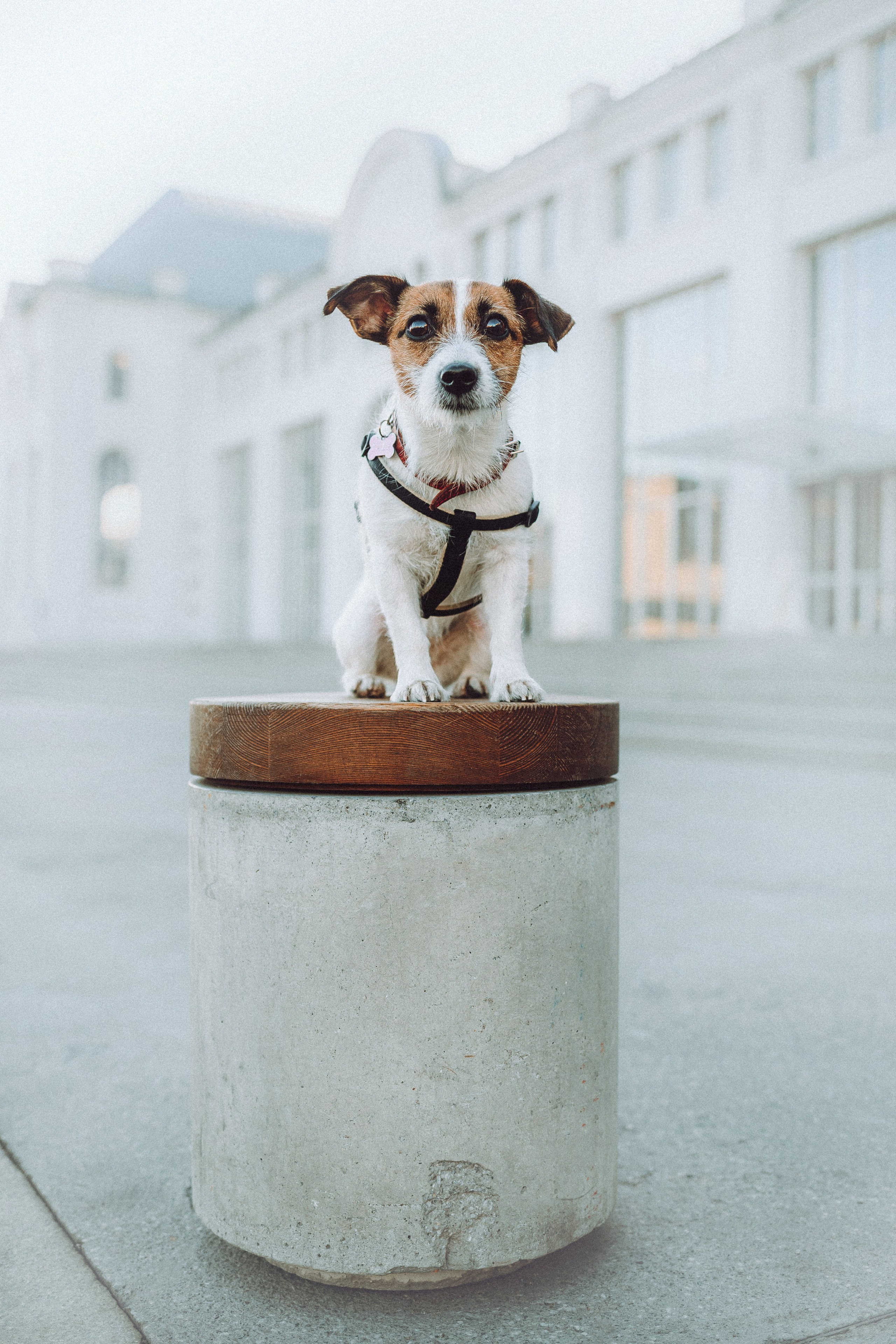 Лера и Рада