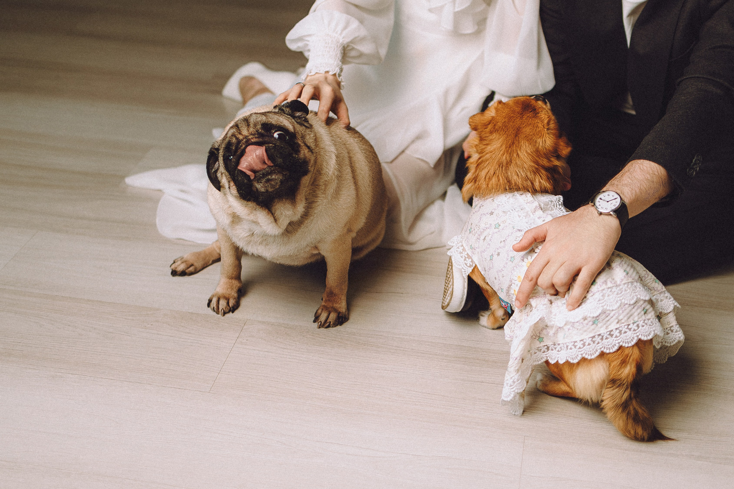 Денис, Василина, Гаврюша и Кнопка