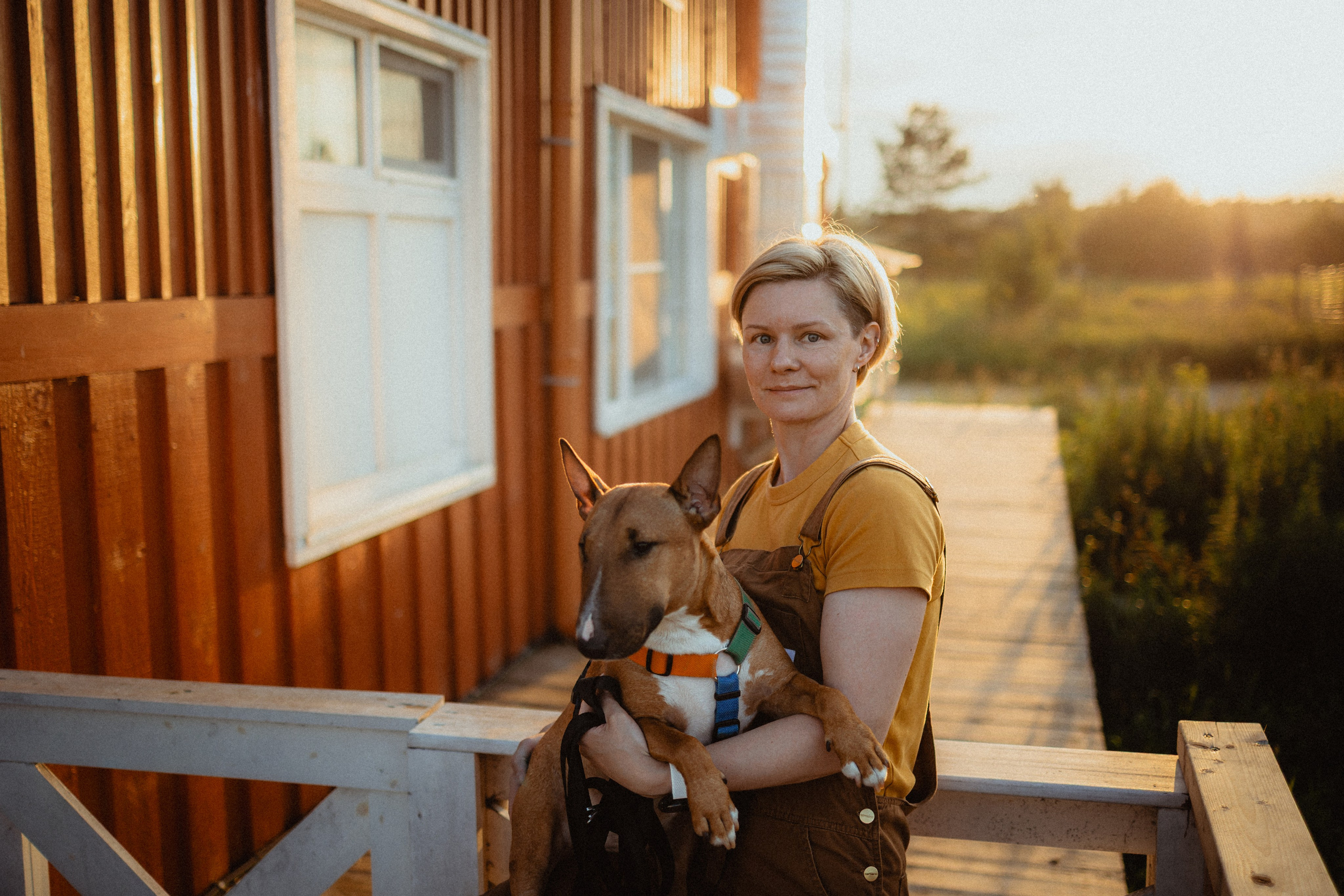 Выездной дог-тренинг от школы «Шерсть имею»