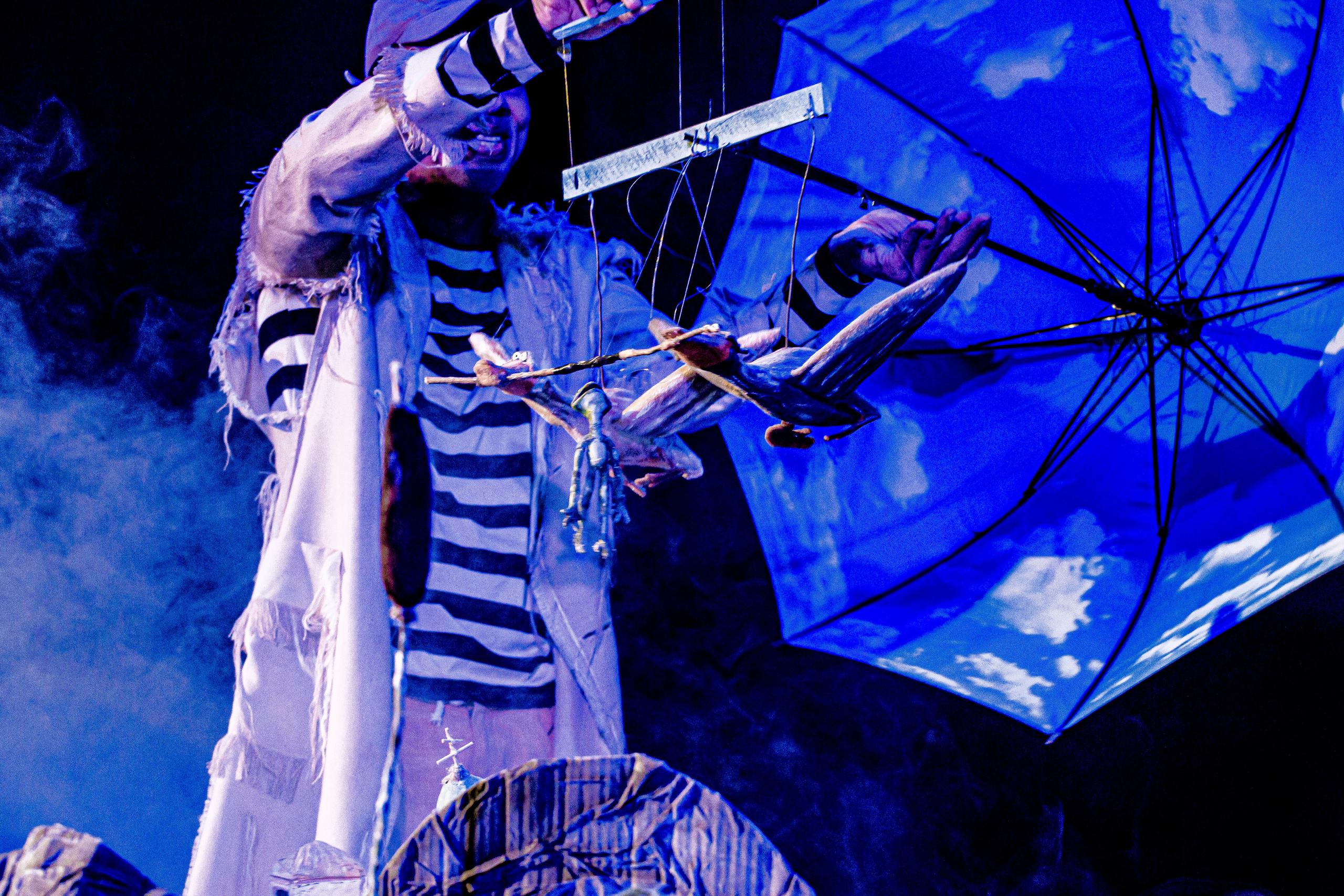 Спектакль театра Саквояж Лягушка путешествиница. Фотограф в Сочи Юрий Шептаев