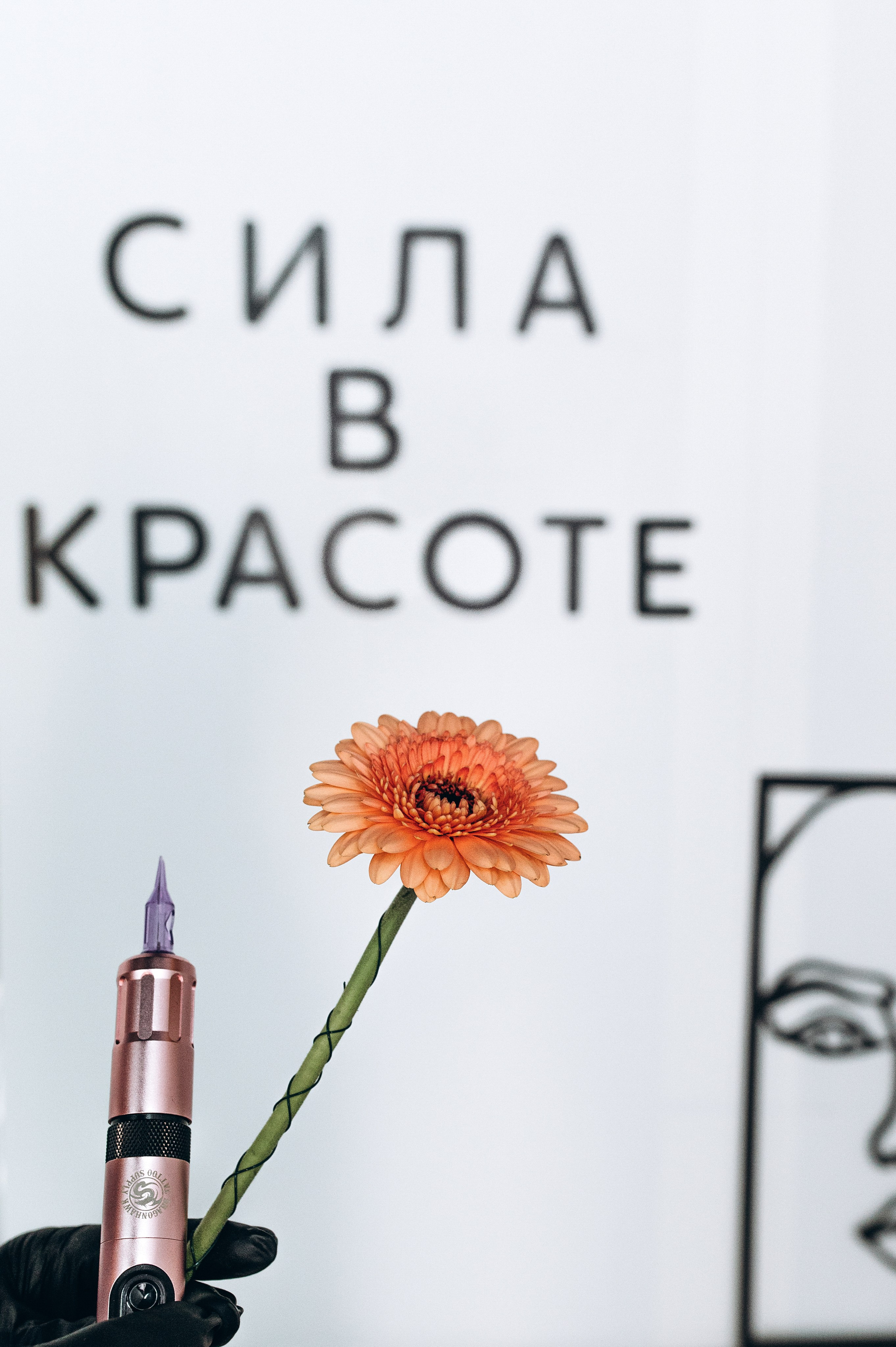 Для мастера перманентного макияжа. Фотограф Алексин, Тула