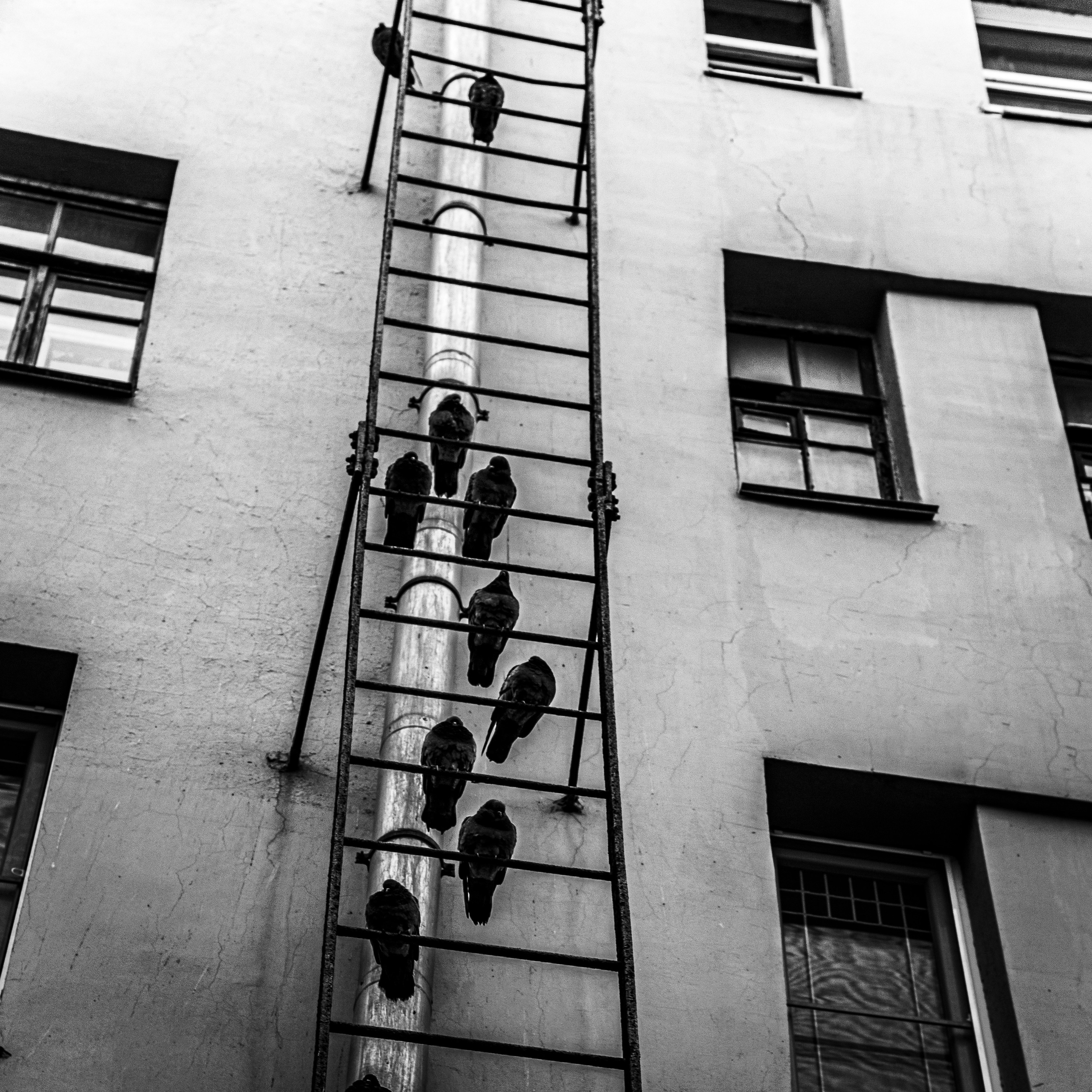 Городские скицы. Главная