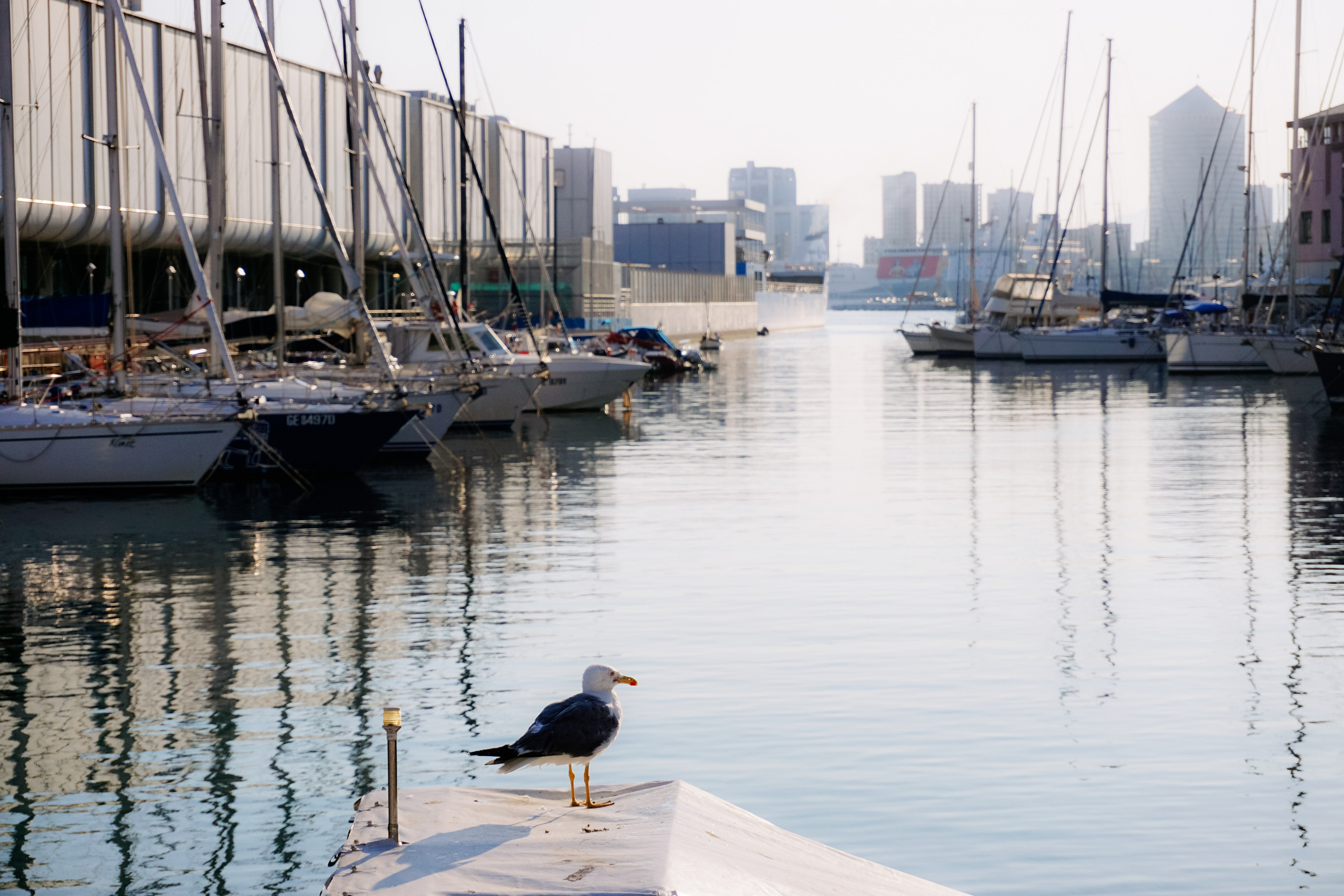 Тоскана. италия. Iraogo