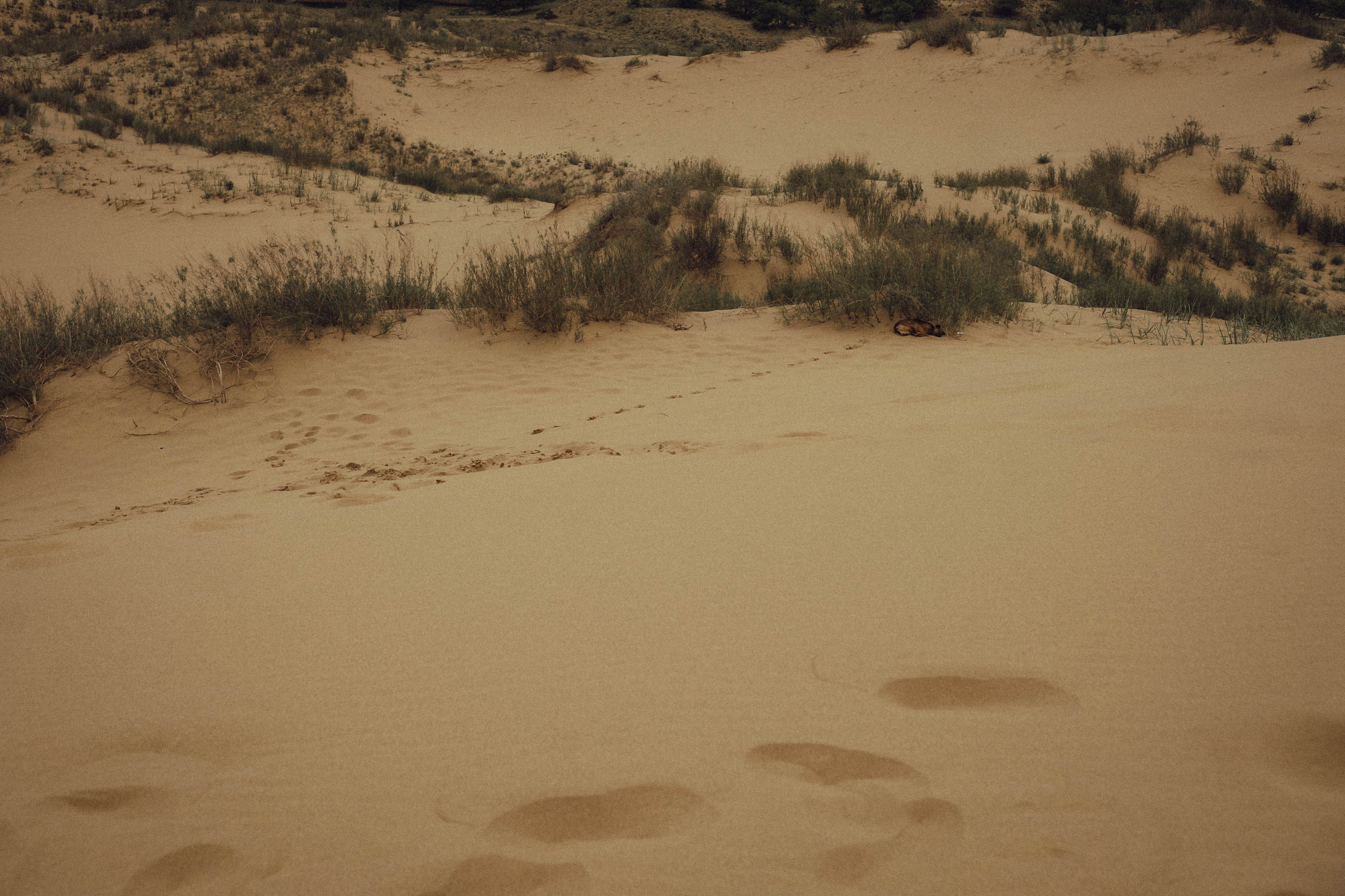 Кавказ. Профессиональный фотограф, Санкт-Петербург — Виктория Богомолова