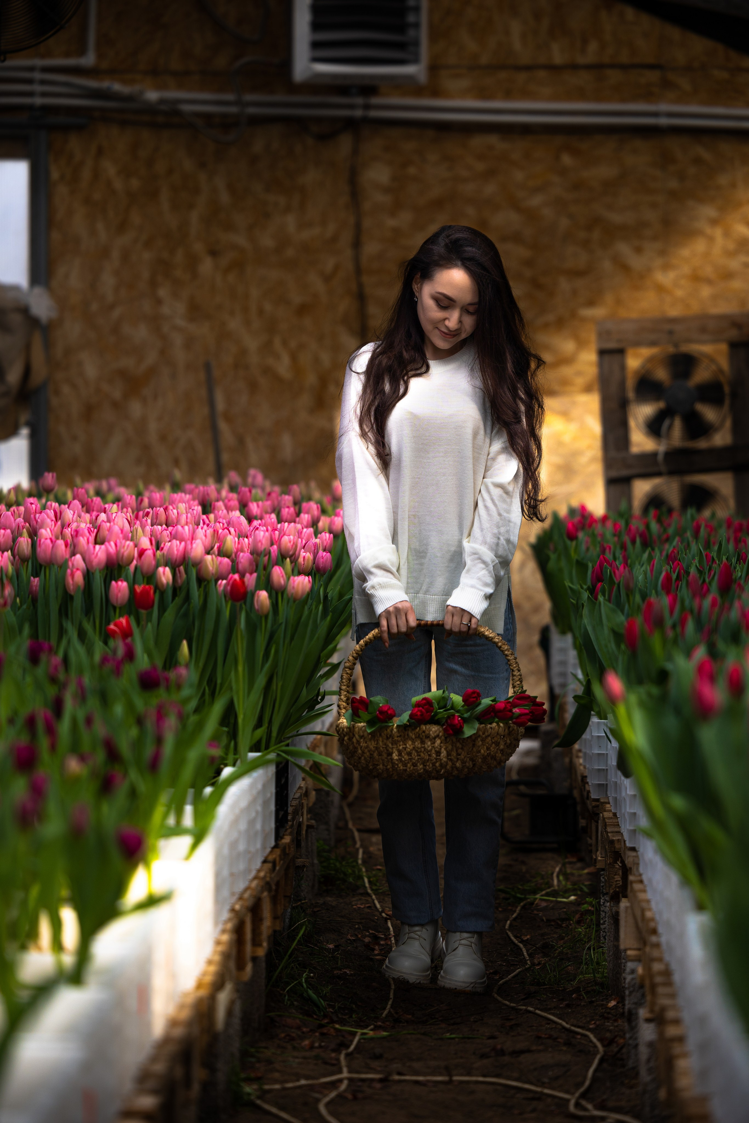 Фотосессия в теплице с тюльпанами