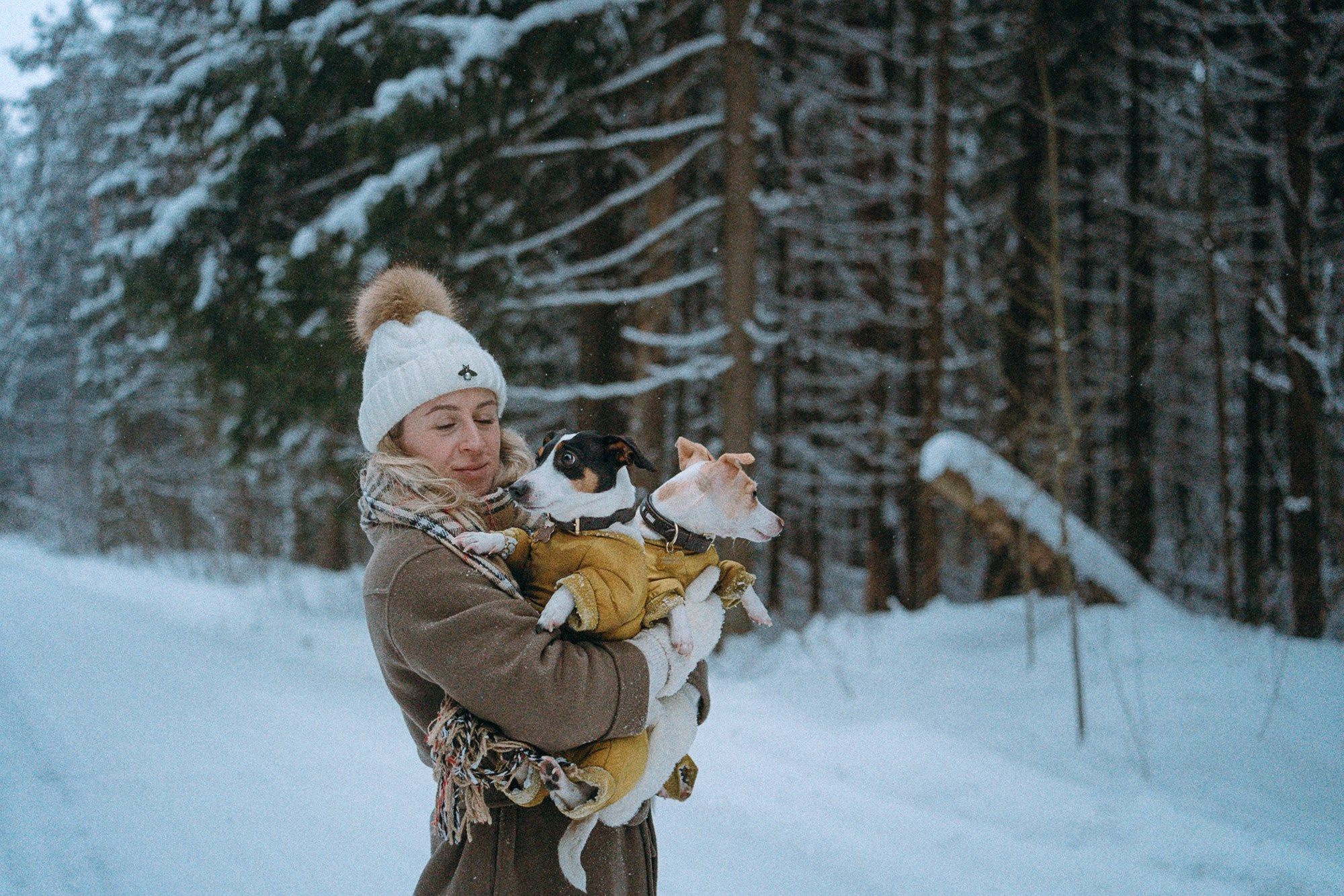 Алина, Ваниль и Элис. Фотограф анималист в Москве и Санкт-Петербурге Свиридова Анна