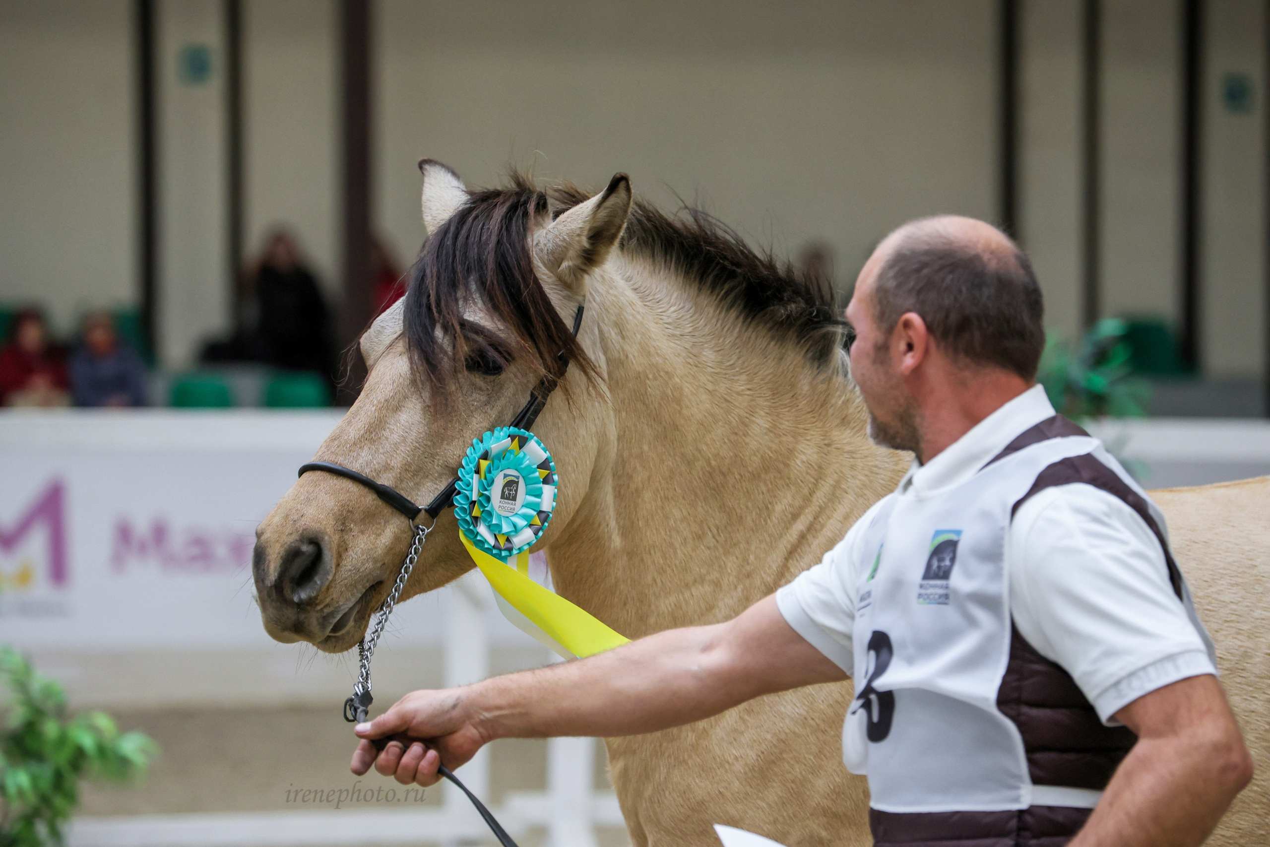 Конная Россия 2024. Irenephoto.ru