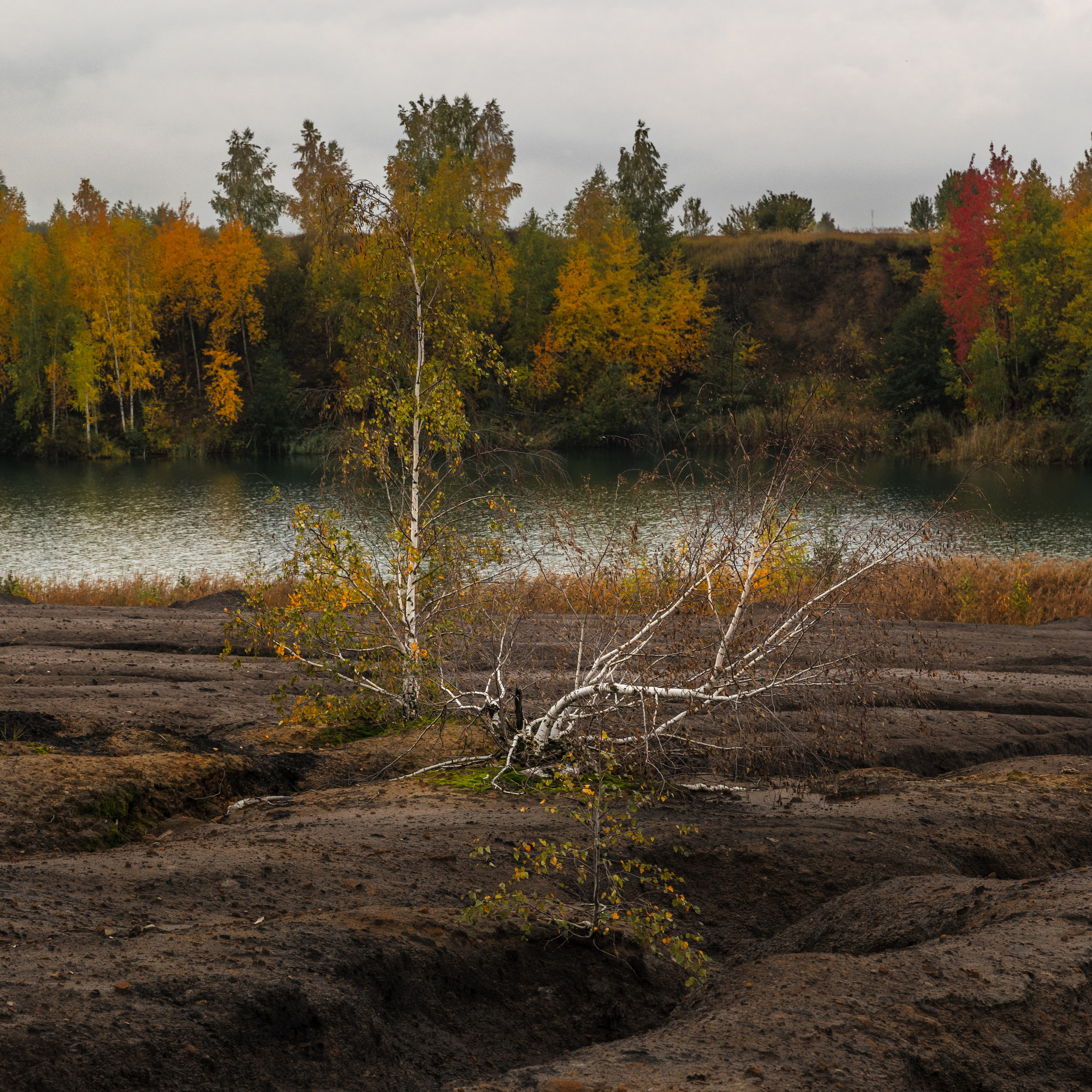 Кондуки. Октябрь 2023. Фотографии