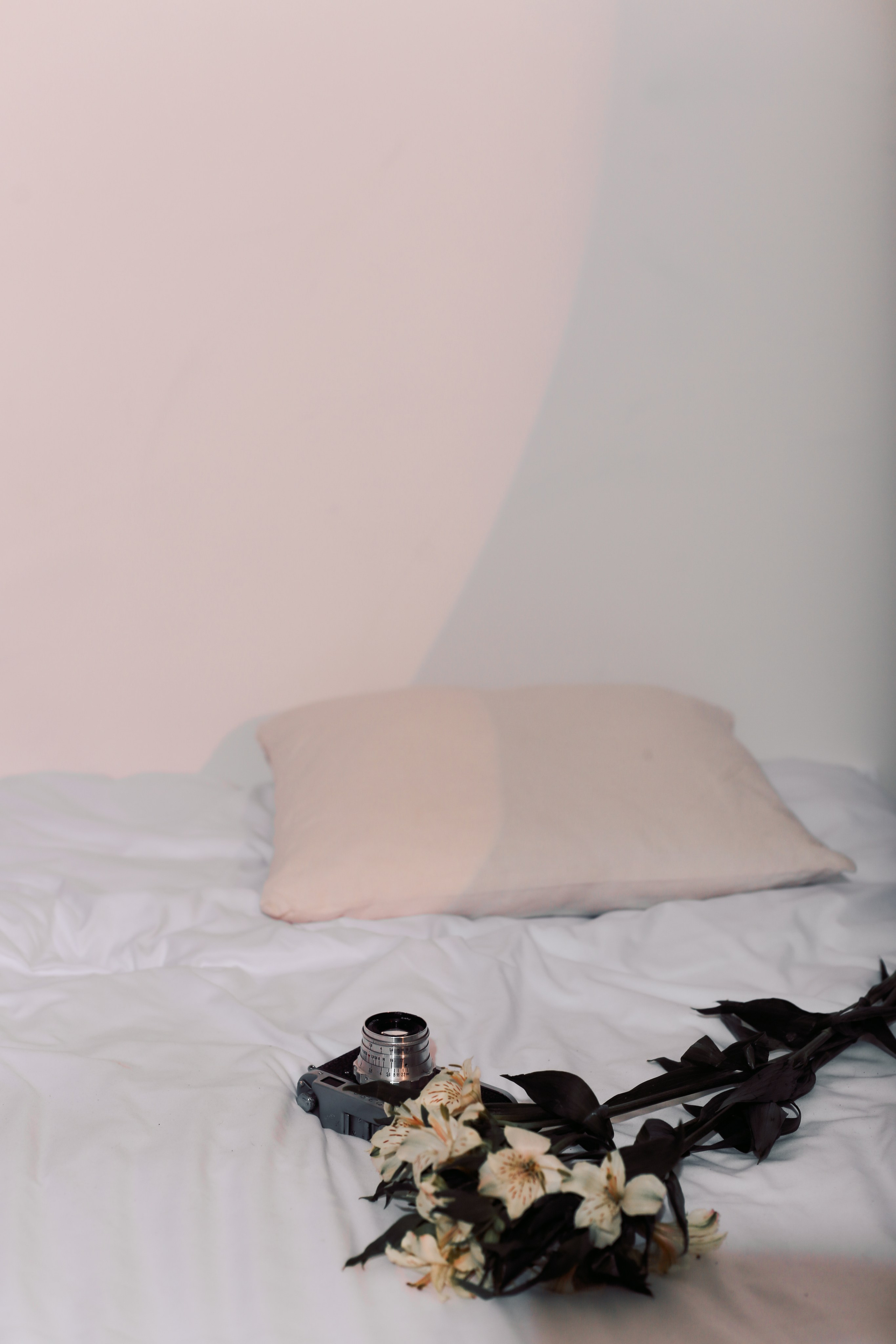 Ольга (Vibes). Фотограф Анастасия Залевская