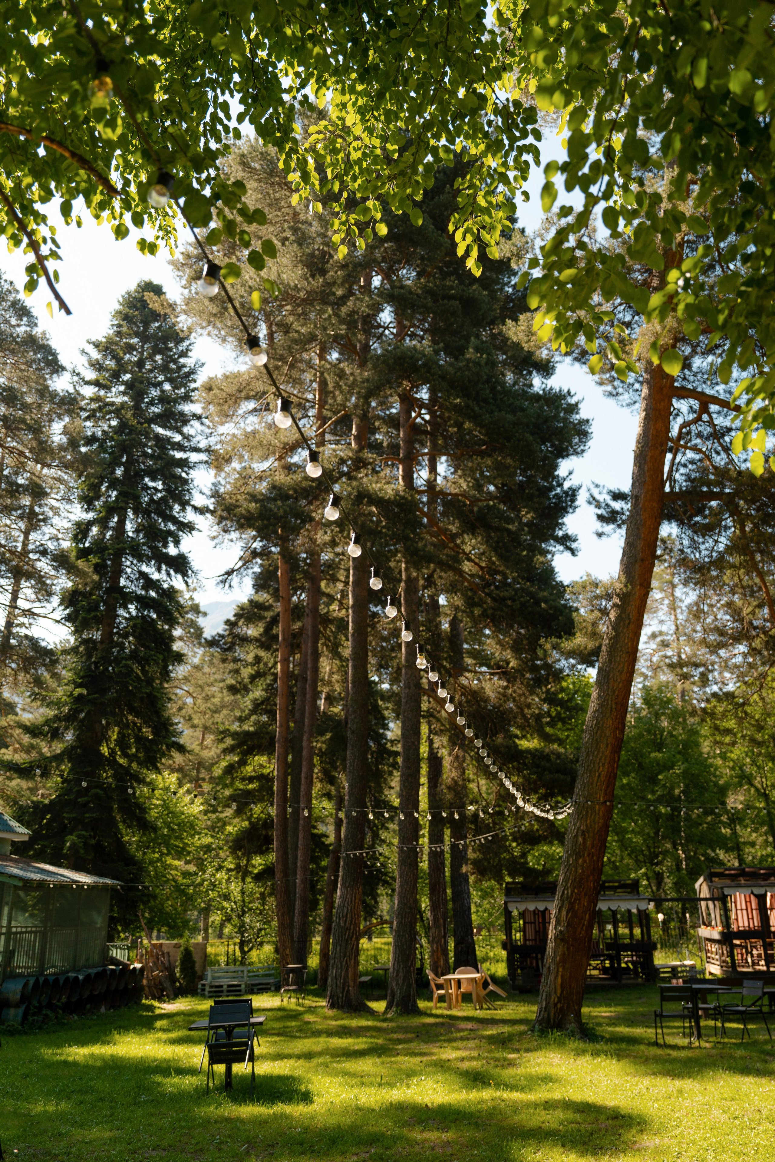 Green Park. Фотограф и видеограф Елена Хмелевская