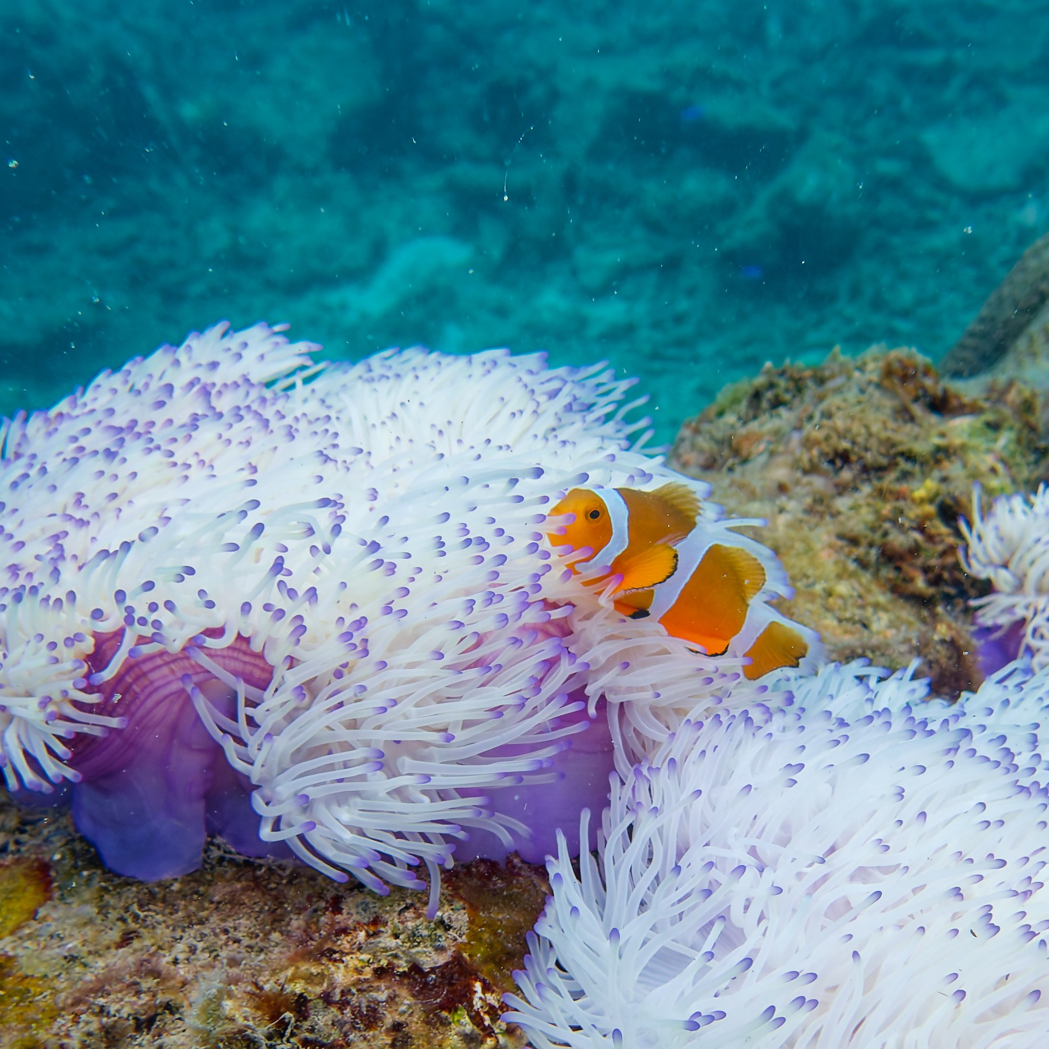 Мне посмотреть. Рыбов показываю