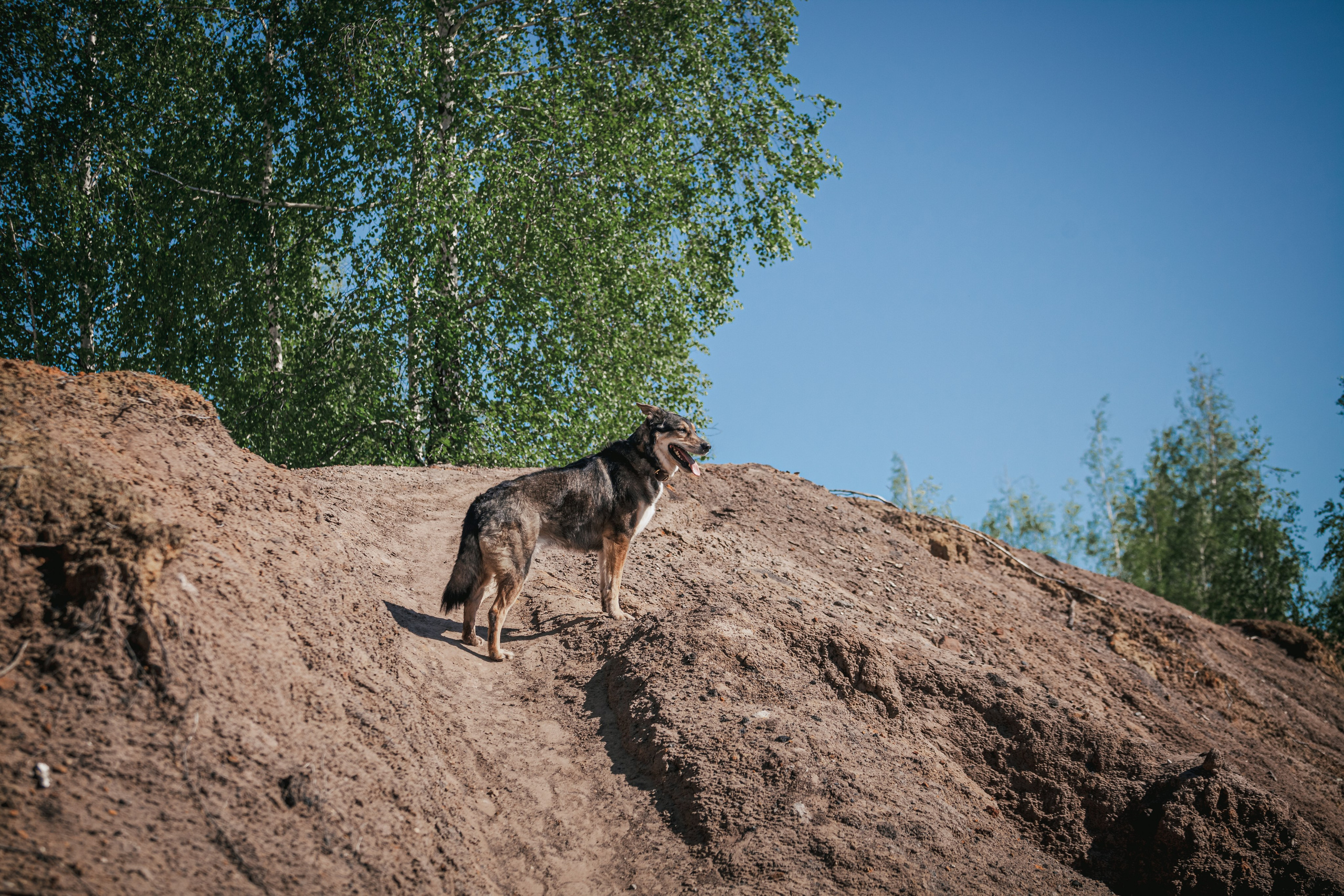 Кондуки. Фотограф-анималист Татьяна Степанова