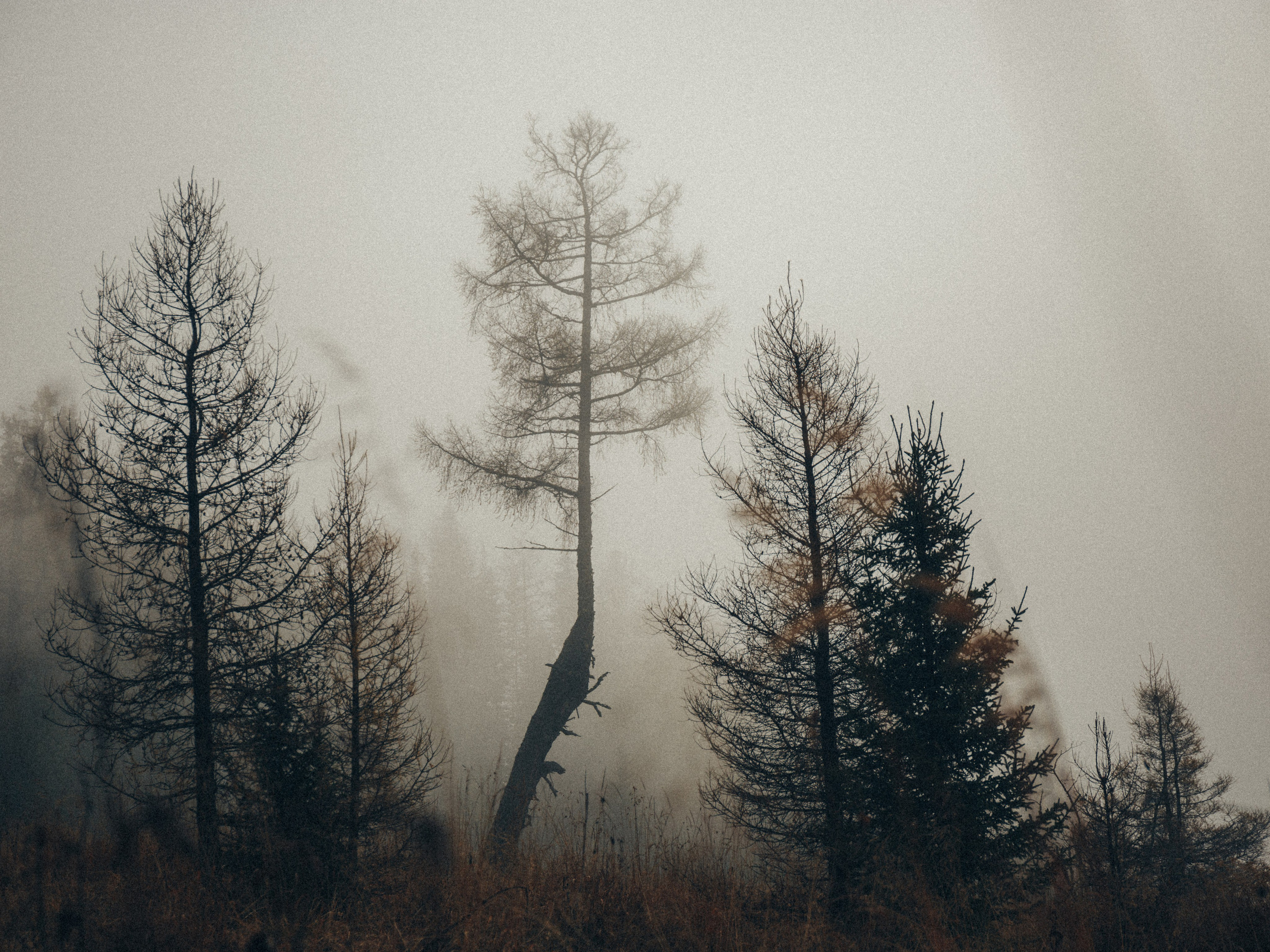 Путешествия. Профессиональный фотограф Виктор Гагарин — Промышленная, Event, Портретная, Репортажная съемка в Новокузнецке, Кемерово, Новосибирске